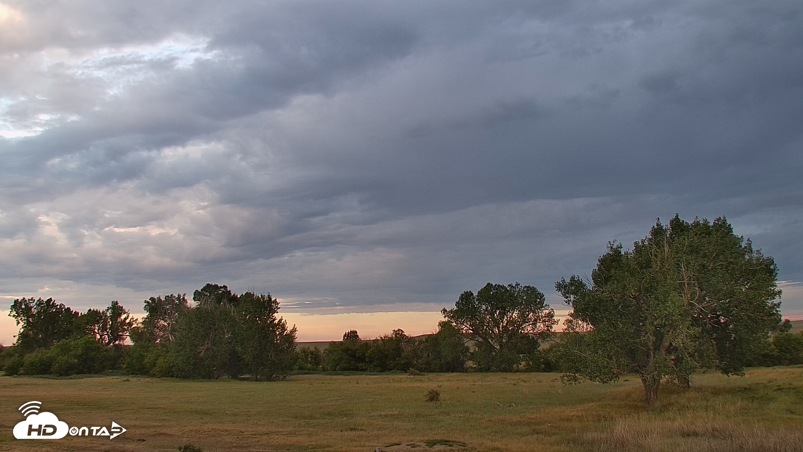 Snapshot of Montana Grasslands Bison Live Webcam taken Aug 23, 2026, 6:48am MDT