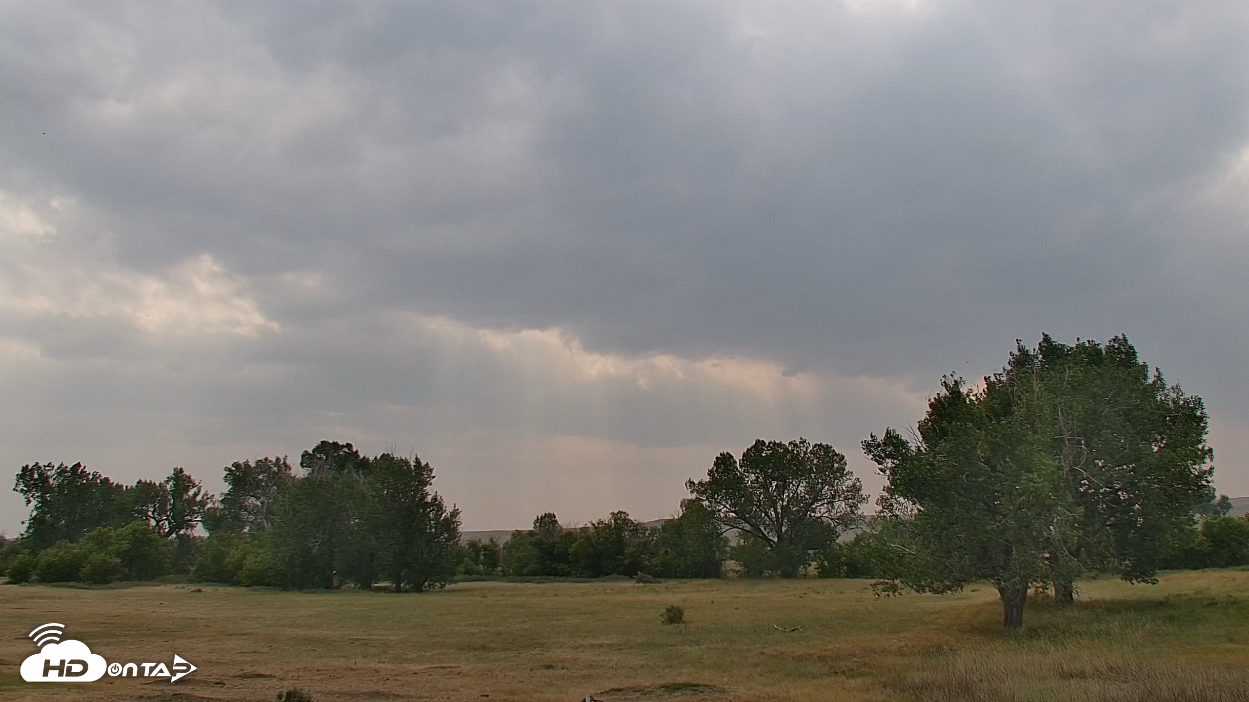 Snapshot of Montana Grasslands Bison Live Webcam taken Aug 12, 2026, 4:15pm MDT