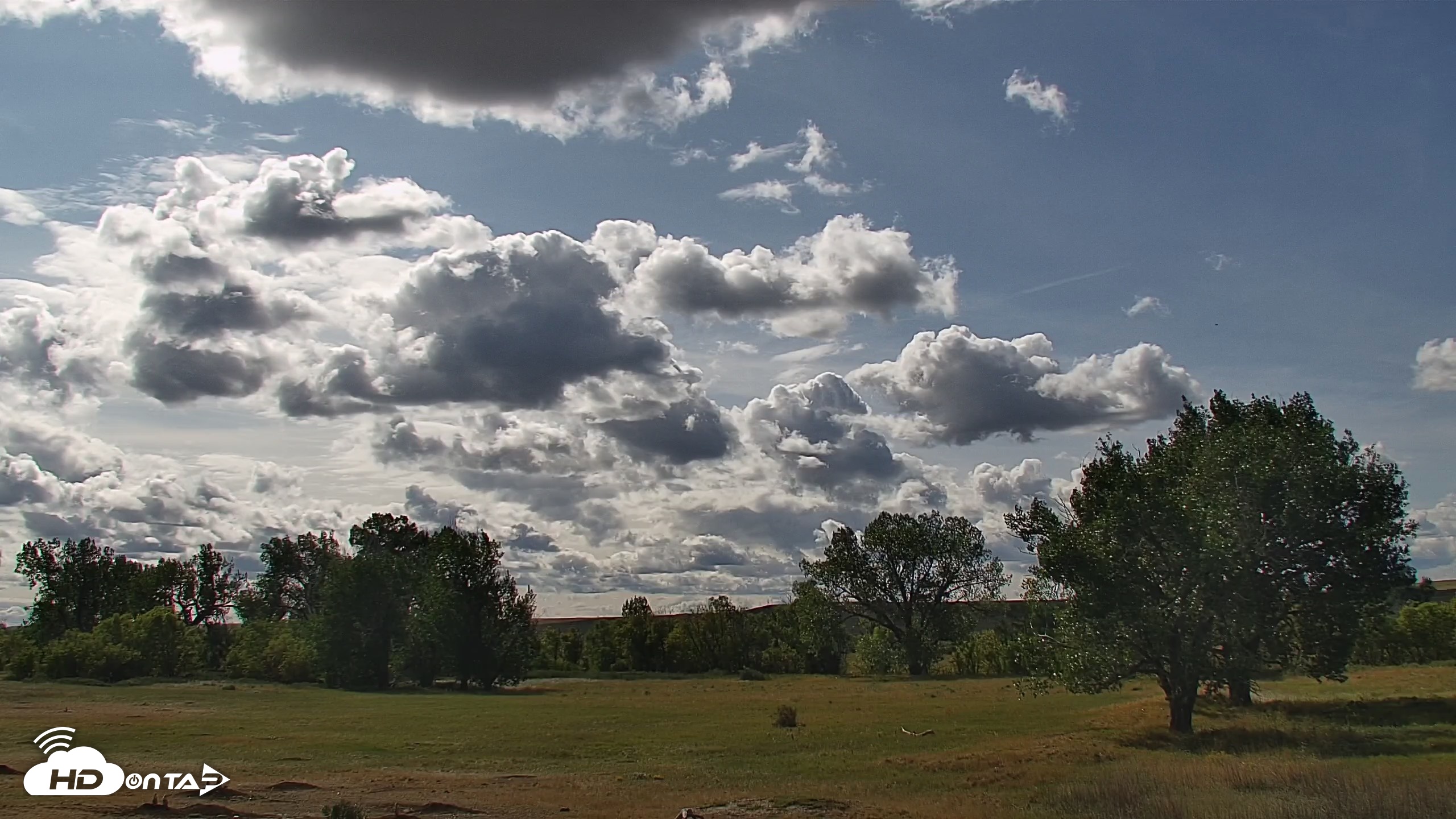 Snapshot of Montana Grasslands Bison Live Webcam taken Sep 11, 2026, 3:14pm MDT