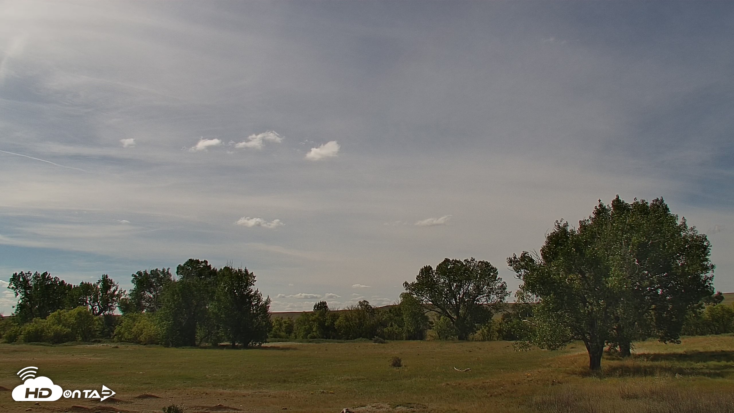 Snapshot of Montana Grasslands Bison Live Webcam taken Sep 15, 2026, 2:12pm MDT