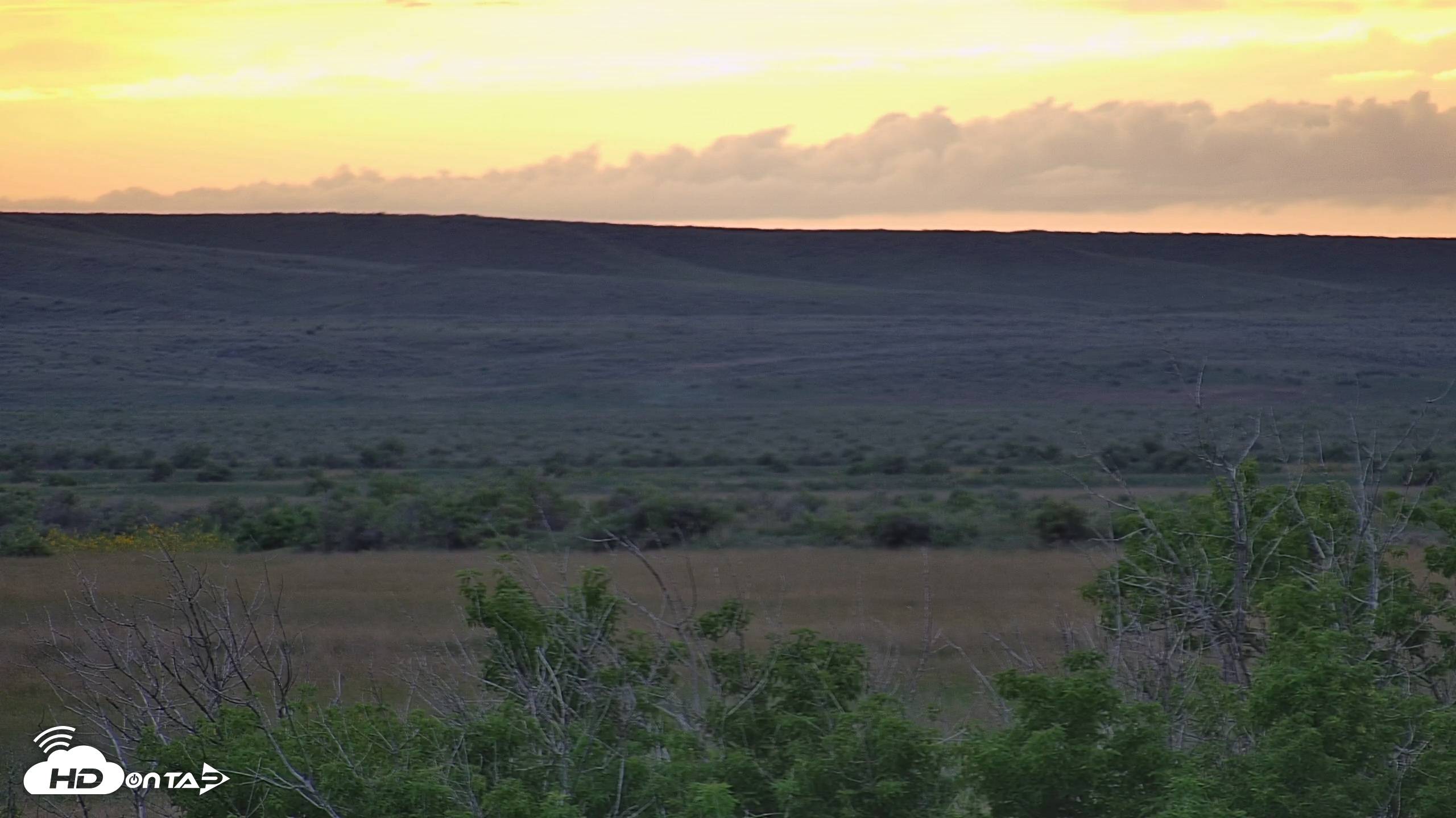 Snapshot of Montana Grasslands Bison Live Webcam taken Jul 27, 2025, 8:31pm MDT