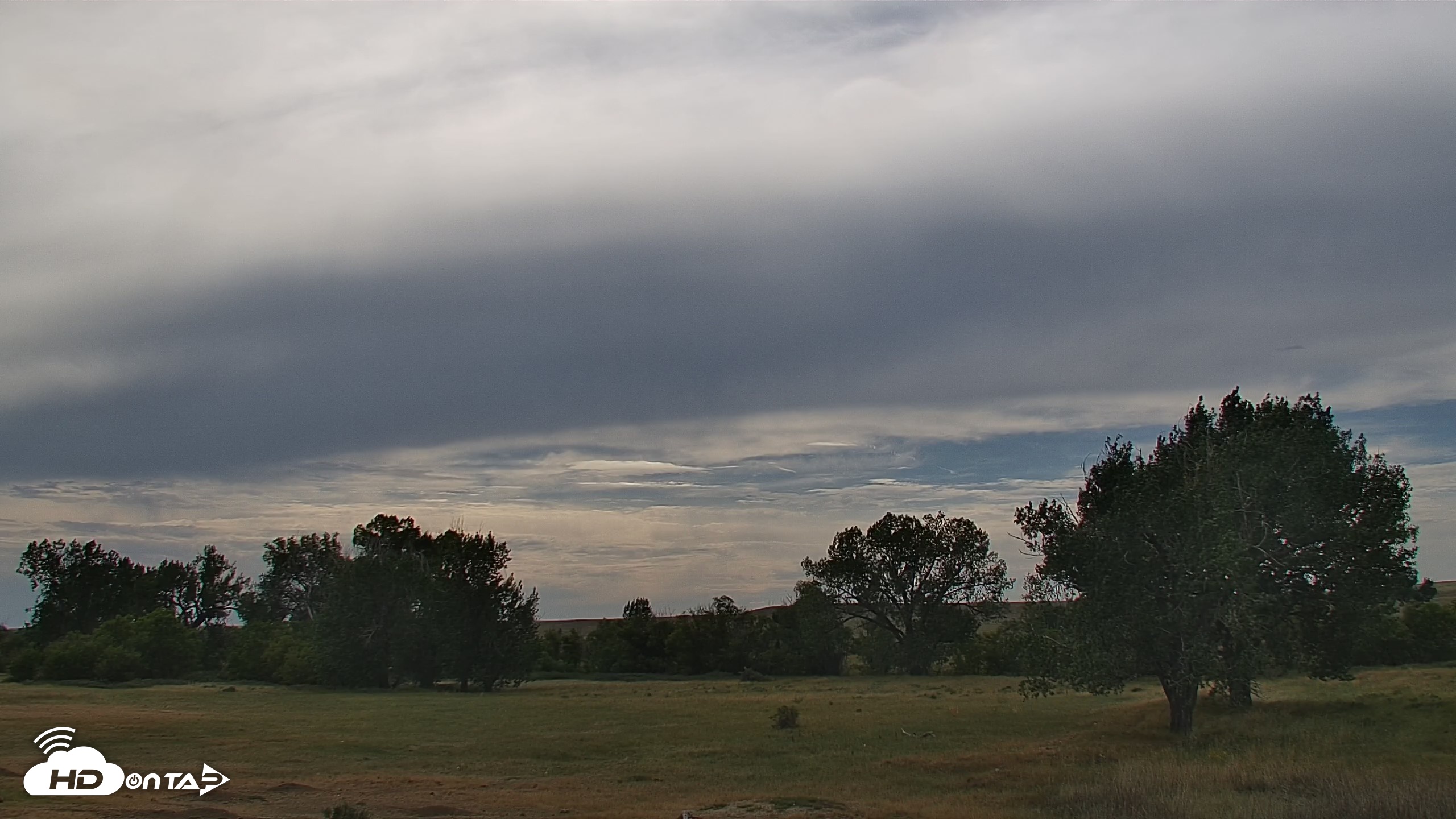 Snapshot of Montana Grasslands Bison Live Webcam taken Sep 1, 2026, 4:04pm MDT
