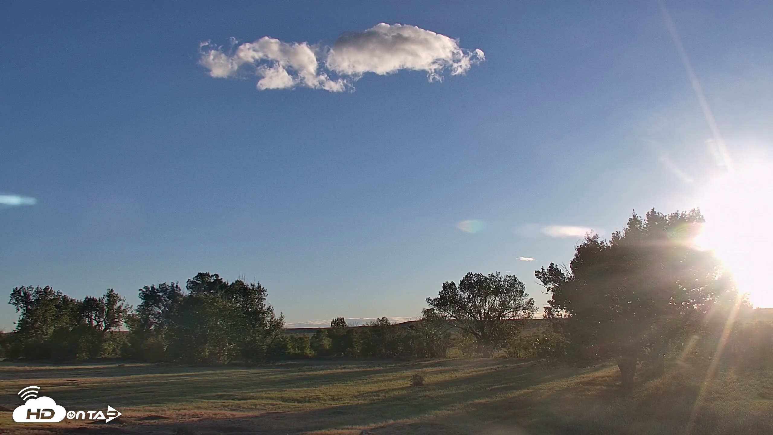 Snapshot of Montana Grasslands Bison Live Webcam taken Sep 7, 2026, 7:03pm MDT