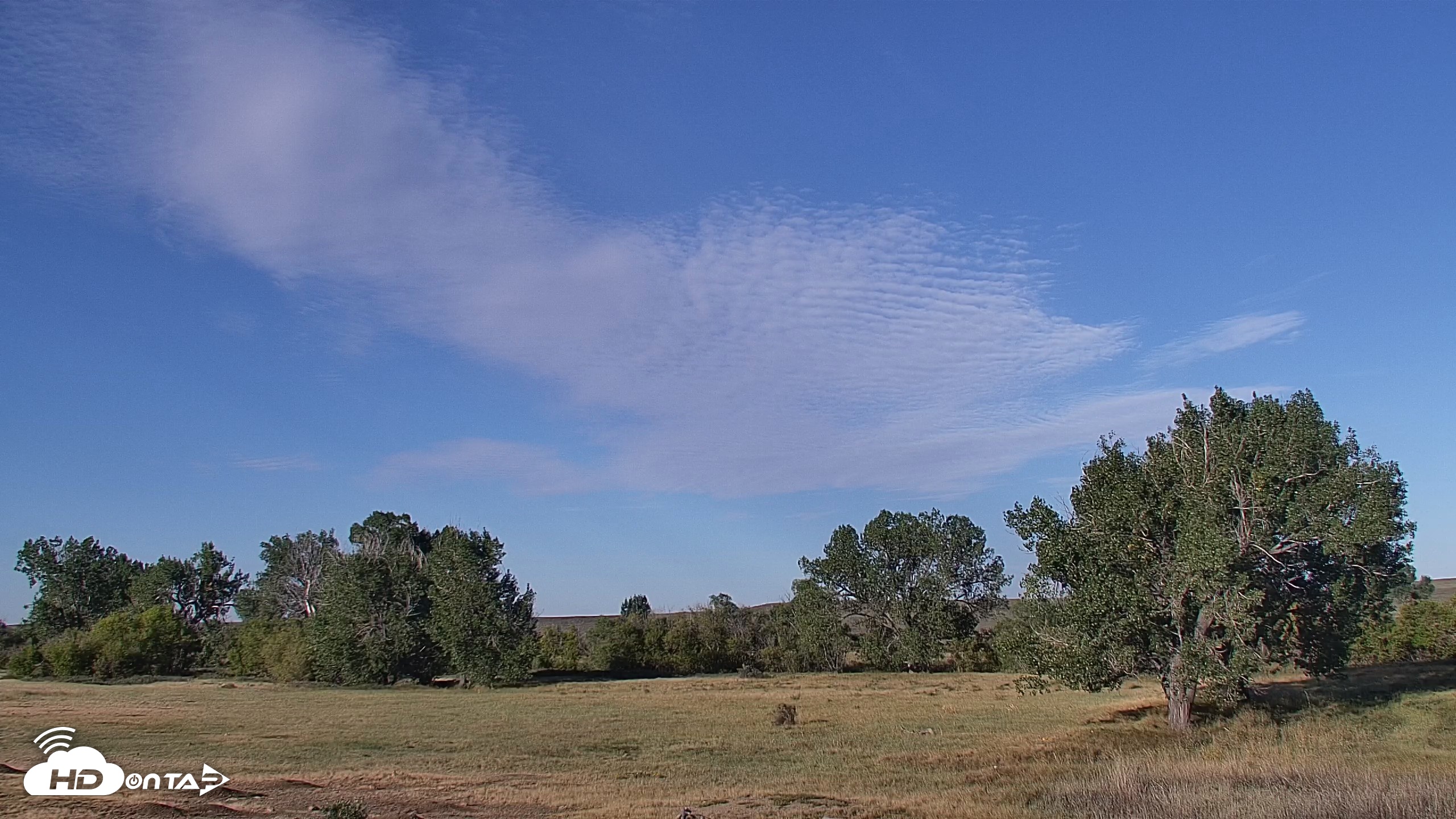 Snapshot of Montana Grasslands Bison Live Webcam taken Sep 16, 2026, 8:40am MDT