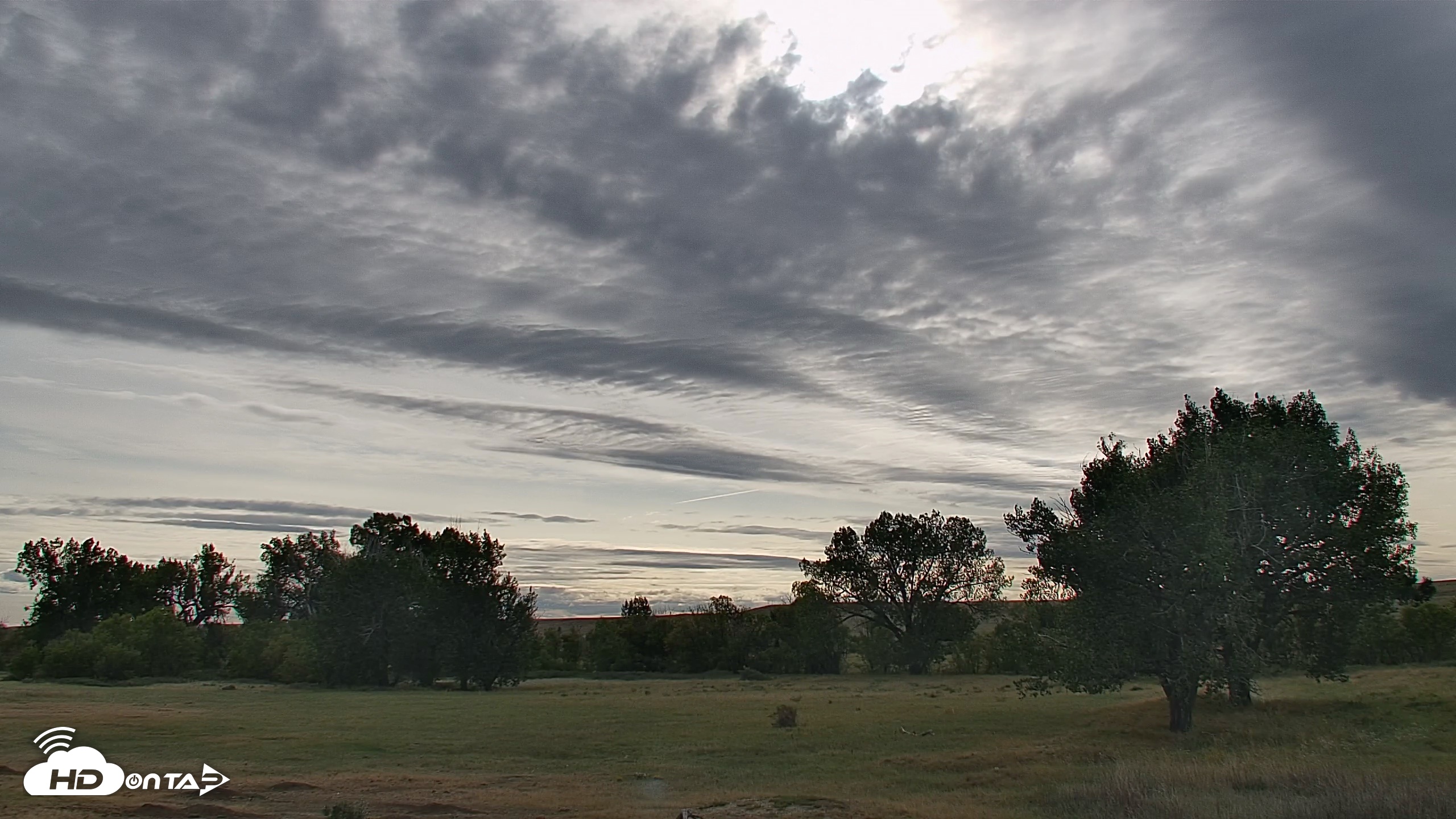 Snapshot of Montana Grasslands Bison Live Webcam taken Sep 12, 2026, 5:17pm MDT