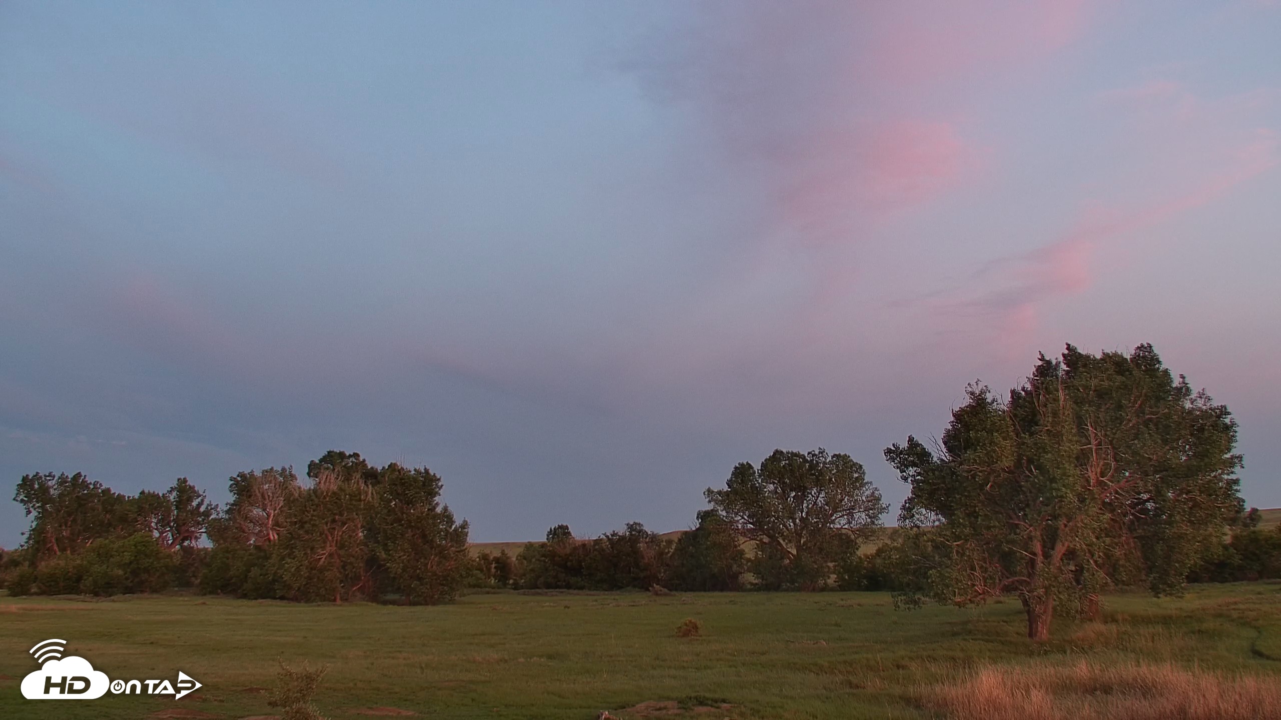 Snapshot of Montana Grasslands Bison Live Webcam taken Jul 6, 2026, 5:06am MDT