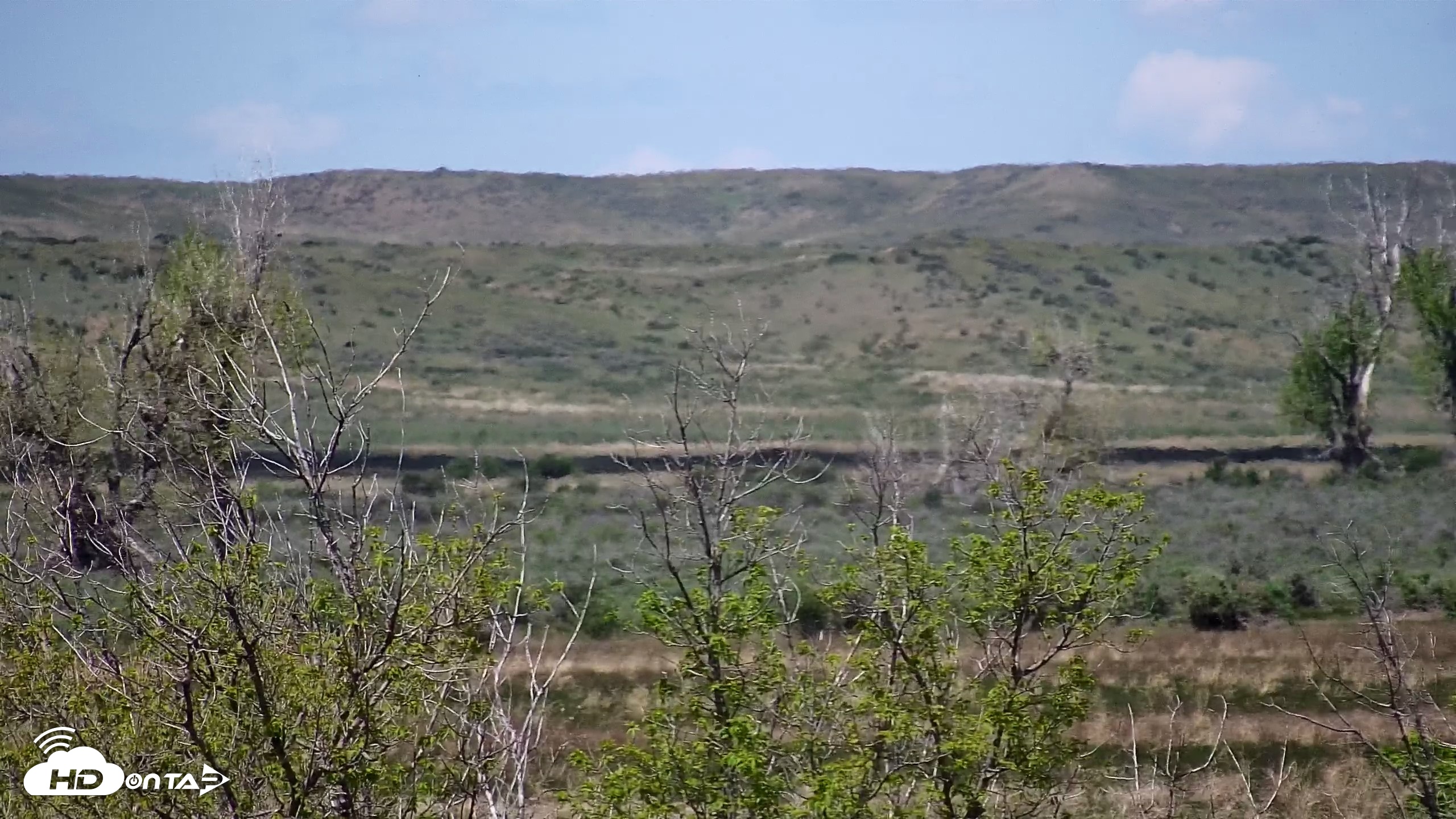 Snapshot of Montana Grasslands Bison Live Webcam taken May 22, 2026, 12:19pm MDT