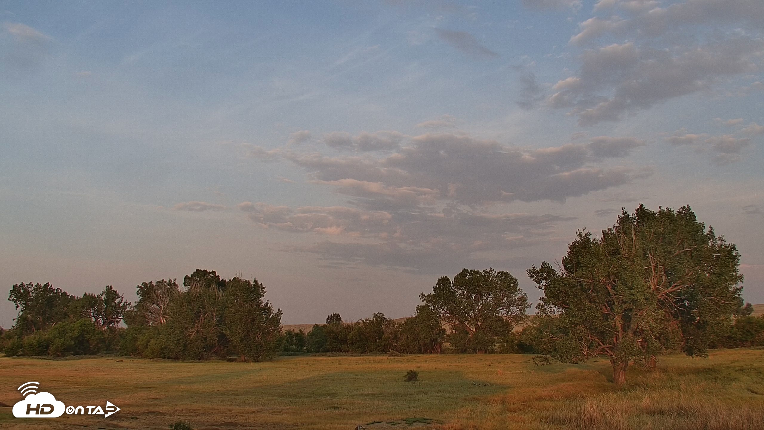 Snapshot of Montana Grasslands Bison Live Webcam taken Aug 17, 2026, 6:44am MDT