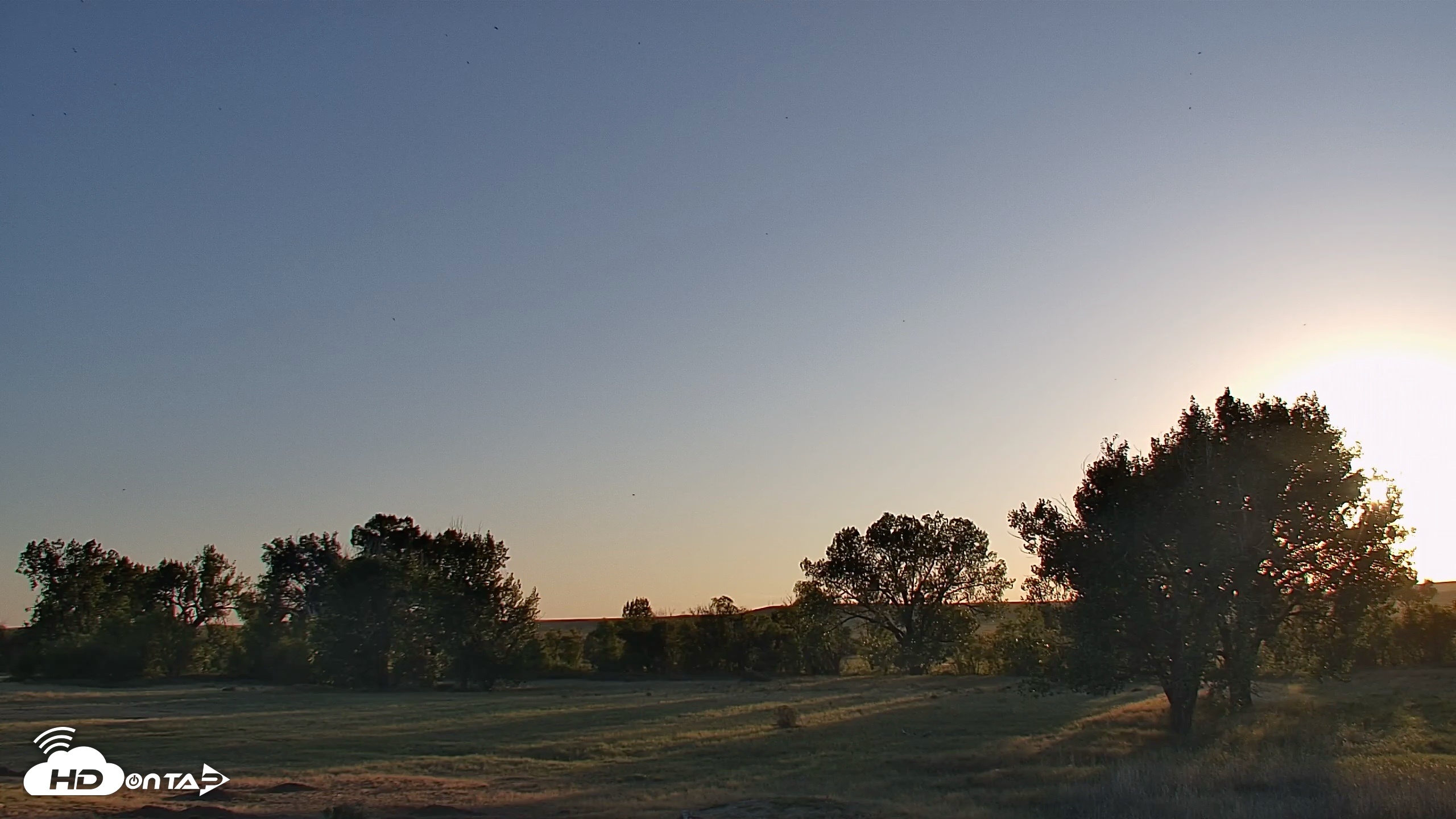 Snapshot of Montana Grasslands Bison Live Webcam taken Sep 13, 2026, 6:58pm MDT