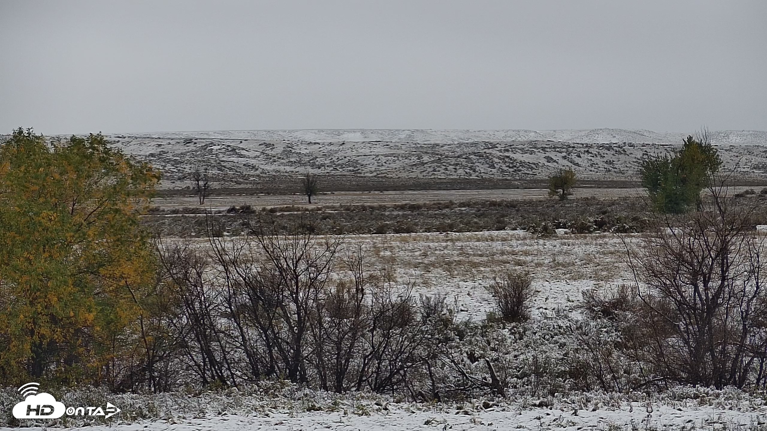 Snapshot of Montana Grasslands Bison Live Webcam taken Oct 12, 2026, 7:58am MDT