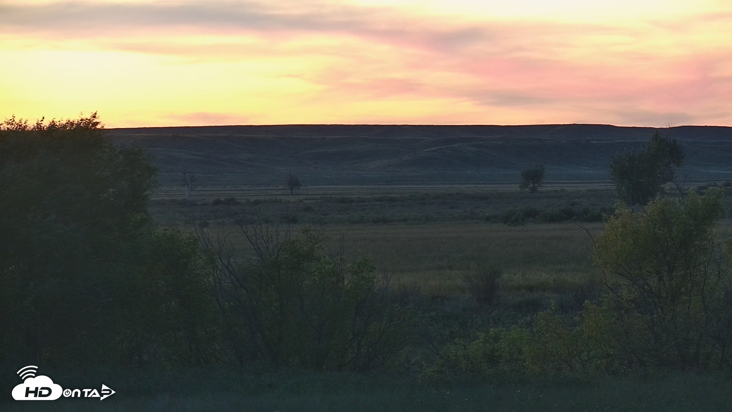 Snapshot of Montana Grasslands Bison Live Webcam taken Sep 24, 2026, 7:26pm MDT
