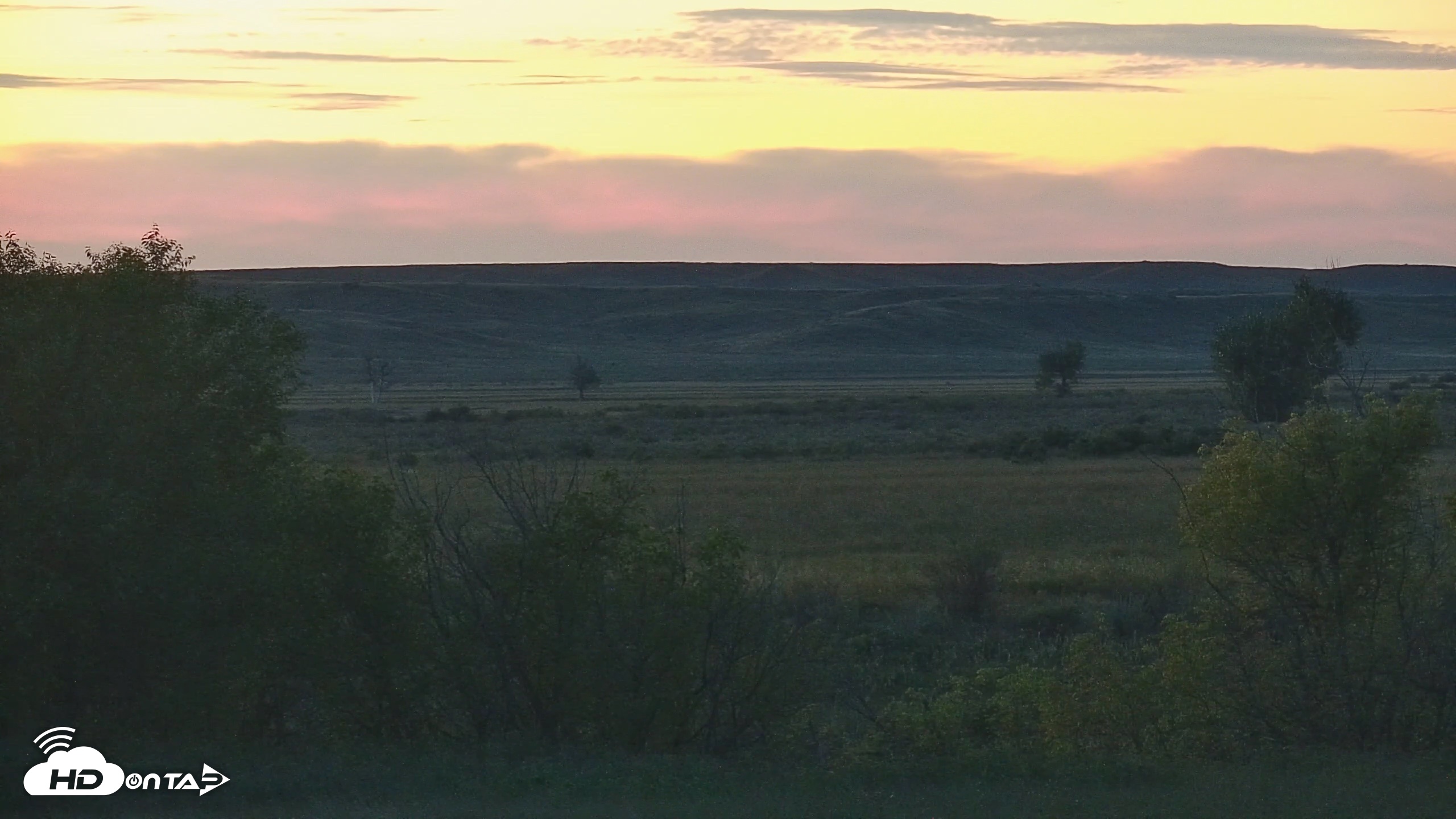Snapshot of Montana Grasslands Bison Live Webcam taken Sep 23, 2026, 7:31pm MDT