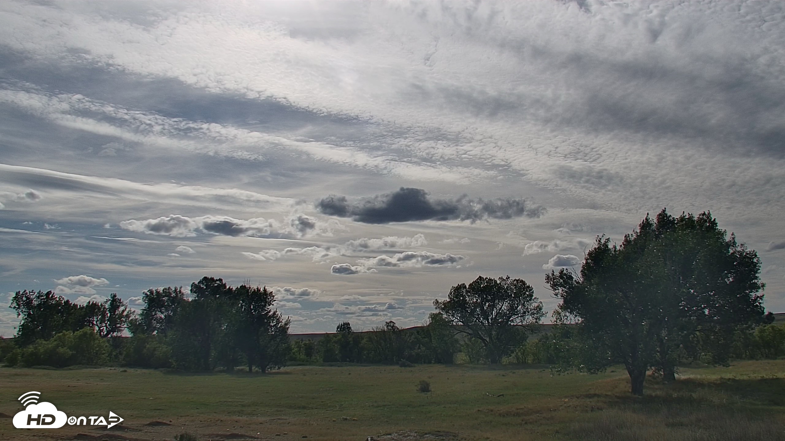 Snapshot of Montana Grasslands Bison Live Webcam taken Sep 15, 2026, 4:19pm MDT