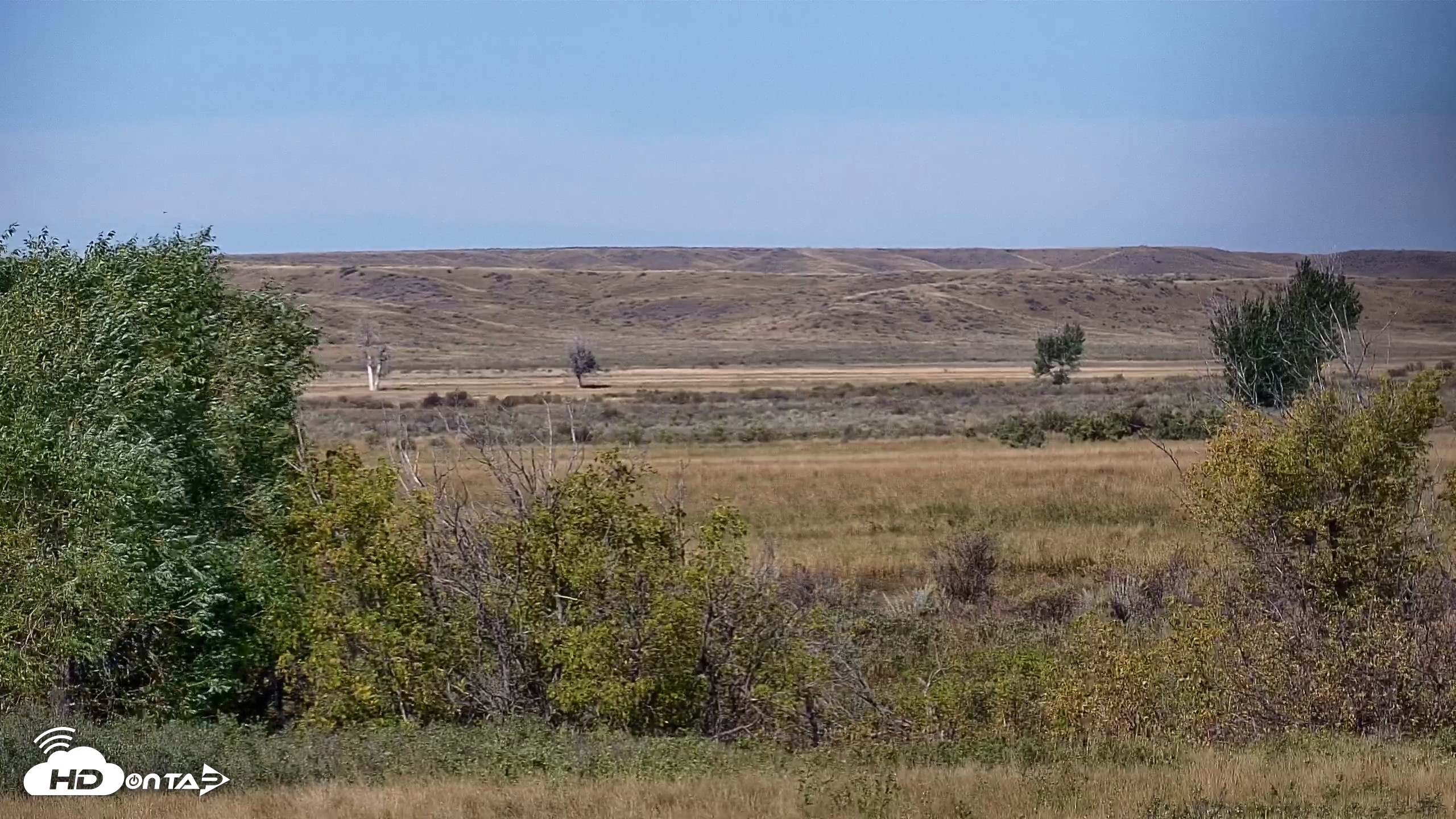 Snapshot of Montana Grasslands Bison Live Webcam taken Sep 25, 2026, 11:22am MDT