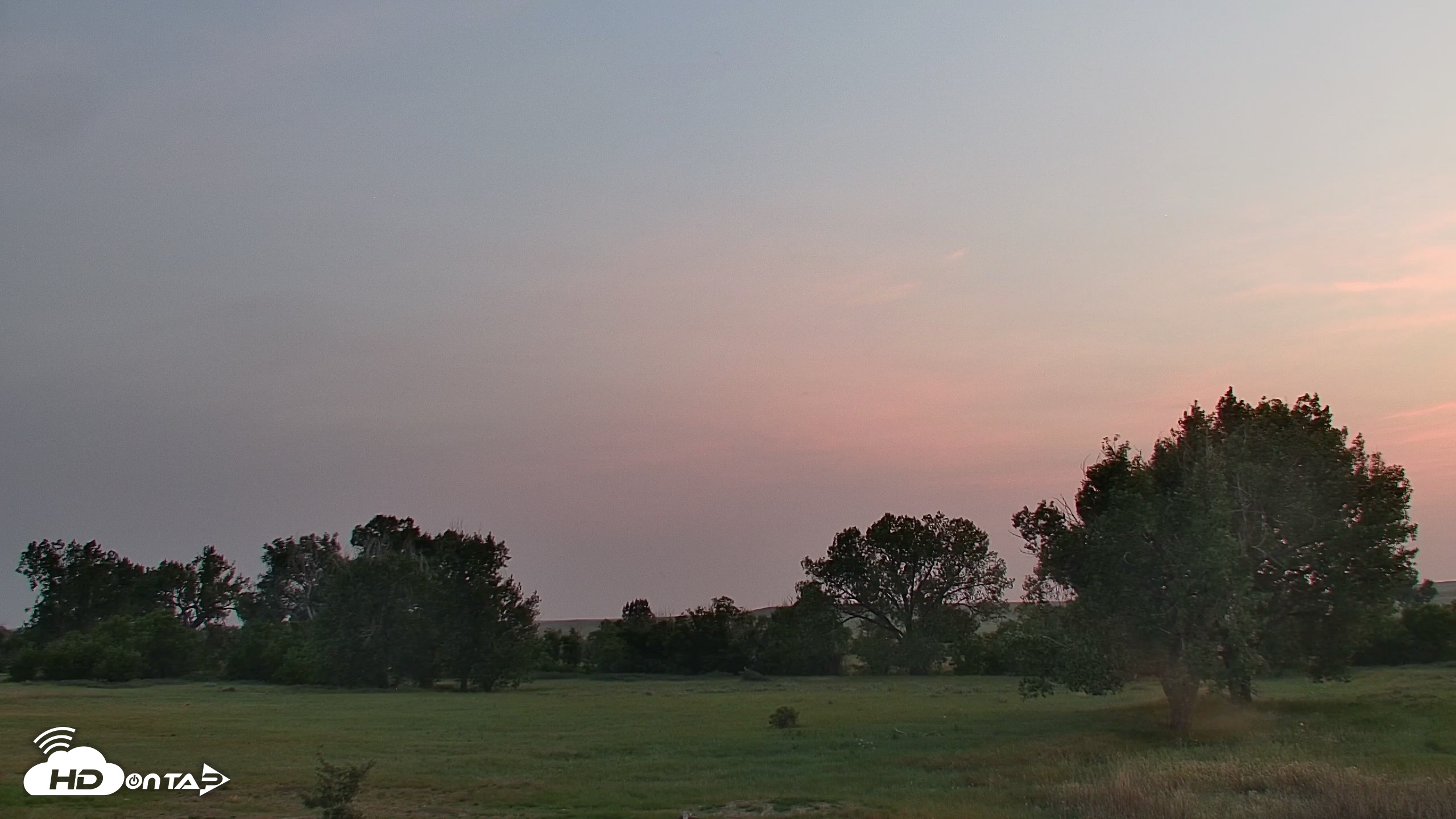Snapshot of Montana Grasslands Bison Live Webcam taken Jul 22, 2026, 9:13pm MDT
