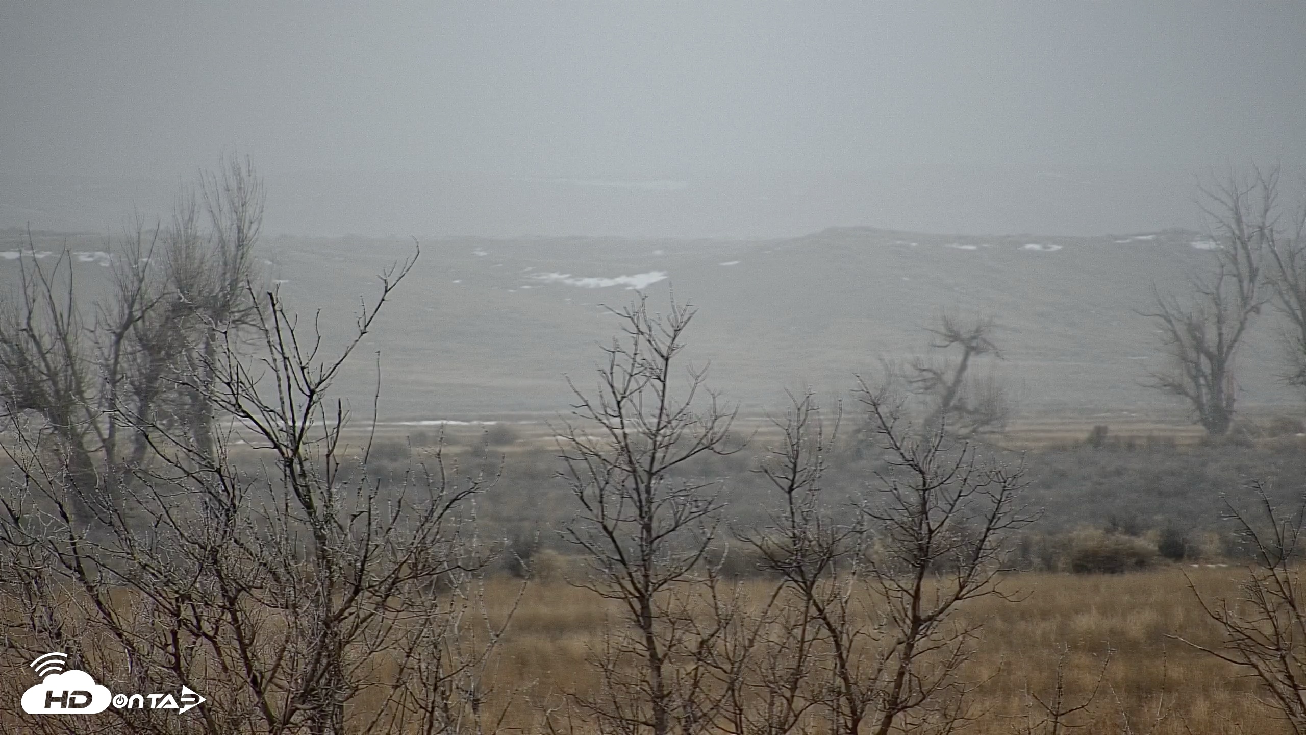 Snapshot of Montana Grasslands Bison Live Webcam taken Dec 25, 2025, 12:29pm MST