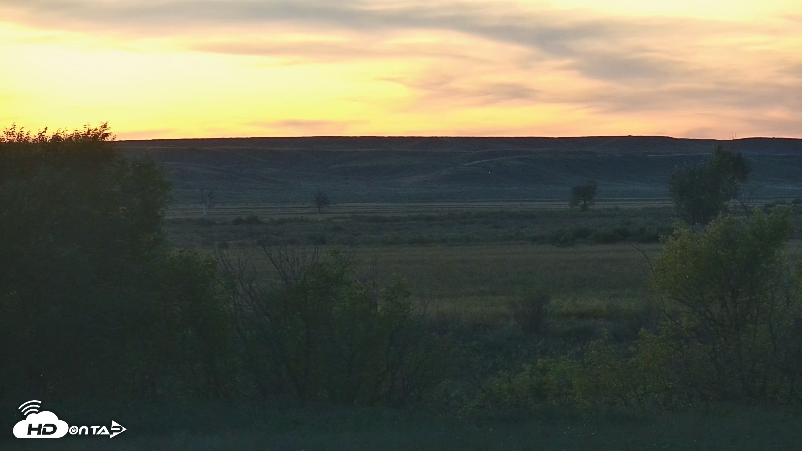 Snapshot of Montana Grasslands Bison Live Webcam taken Sep 24, 2026, 7:29pm MDT
