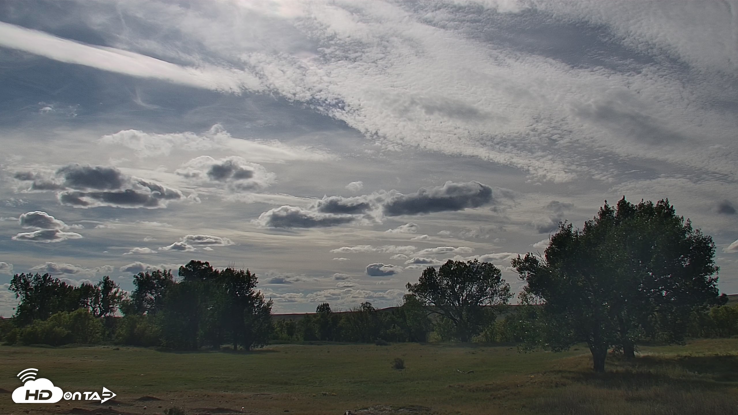 Snapshot of Montana Grasslands Bison Live Webcam taken Sep 15, 2026, 4:04pm MDT