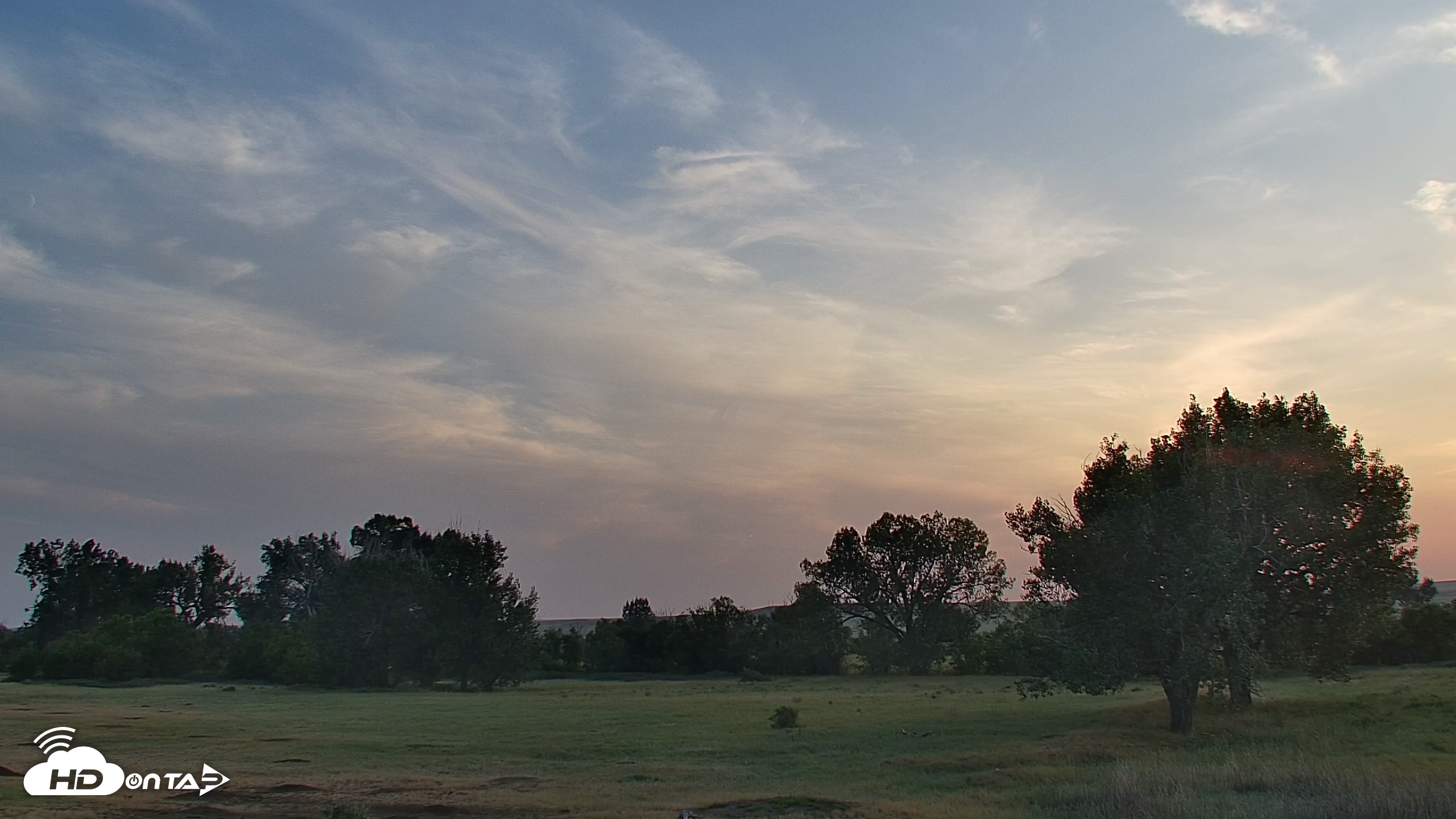 Snapshot of Montana Grasslands Bison Live Webcam taken Aug 17, 2026, 8:00pm MDT