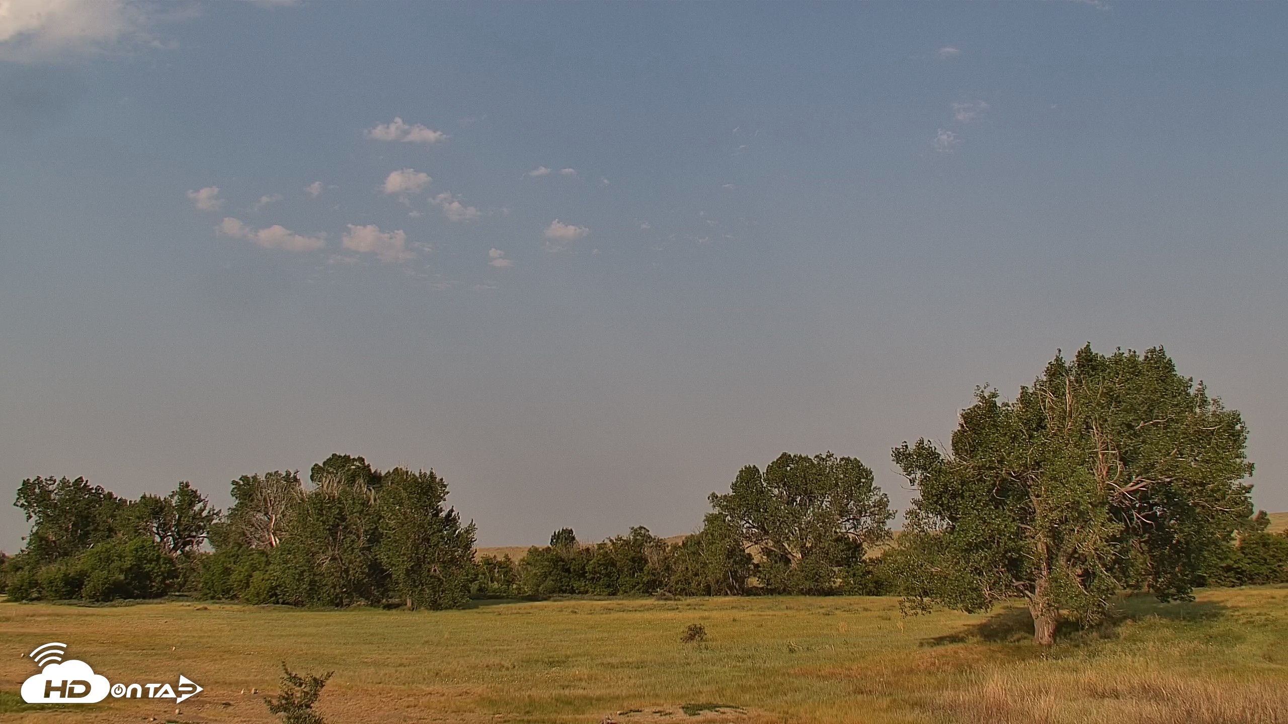 Snapshot of Montana Grasslands Bison Live Webcam taken Jul 31, 2026, 8:13am MDT