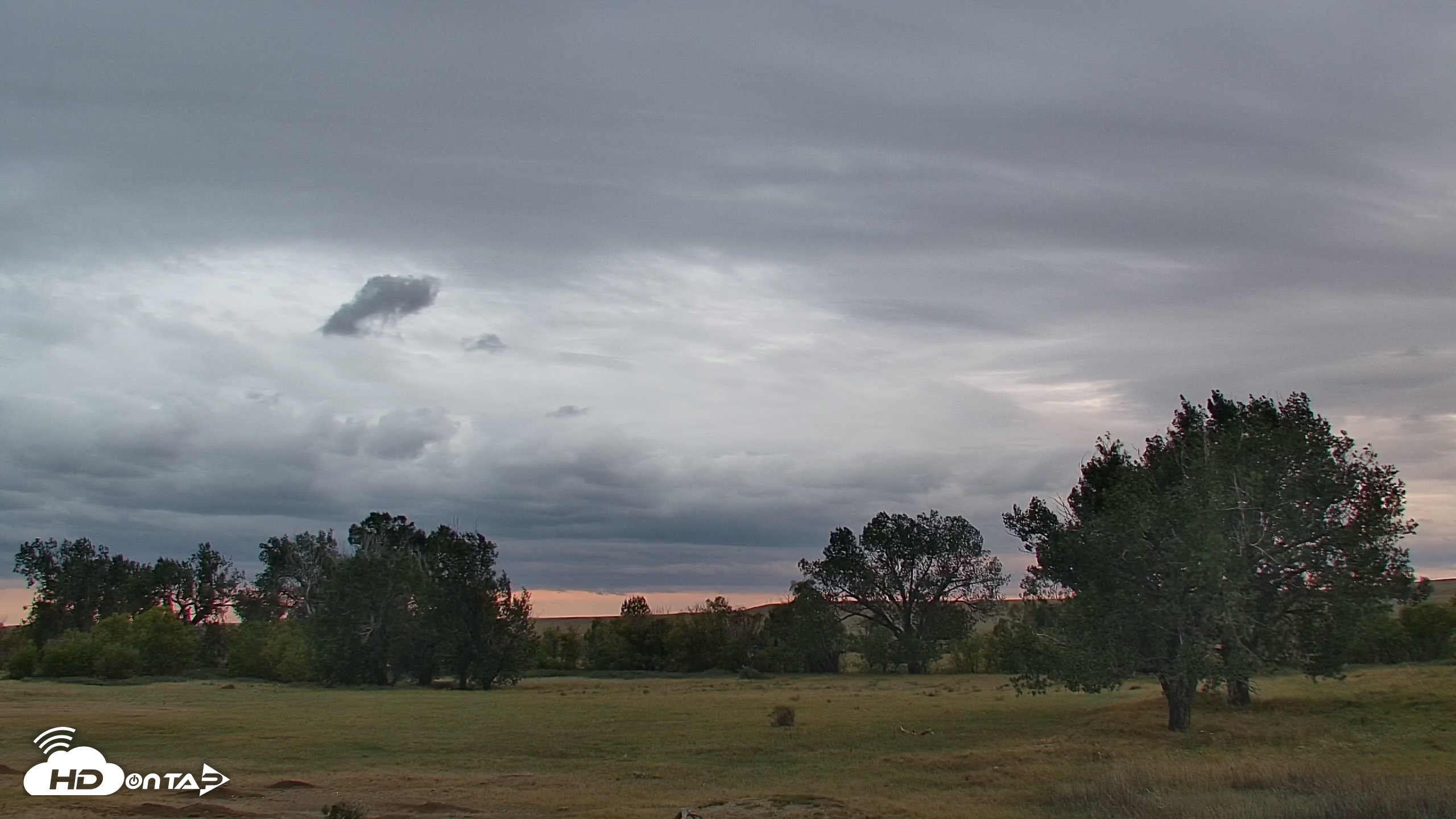 Snapshot of Montana Grasslands Bison Live Webcam taken Sep 14, 2026, 7:21pm MDT