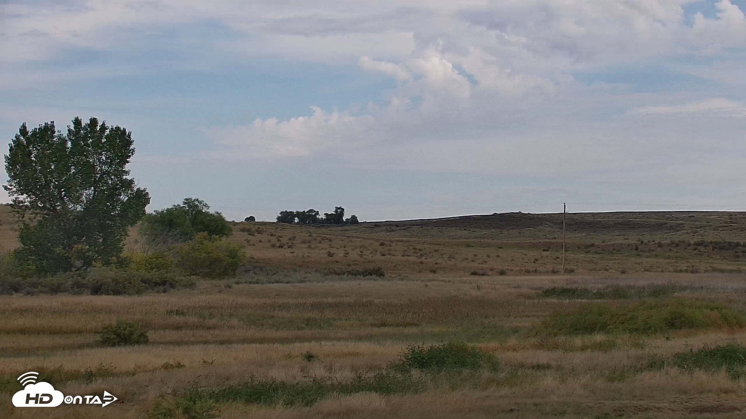 Snapshot of Montana Grasslands Bison Live Webcam taken Sep 23, 2026, 11:05am MDT