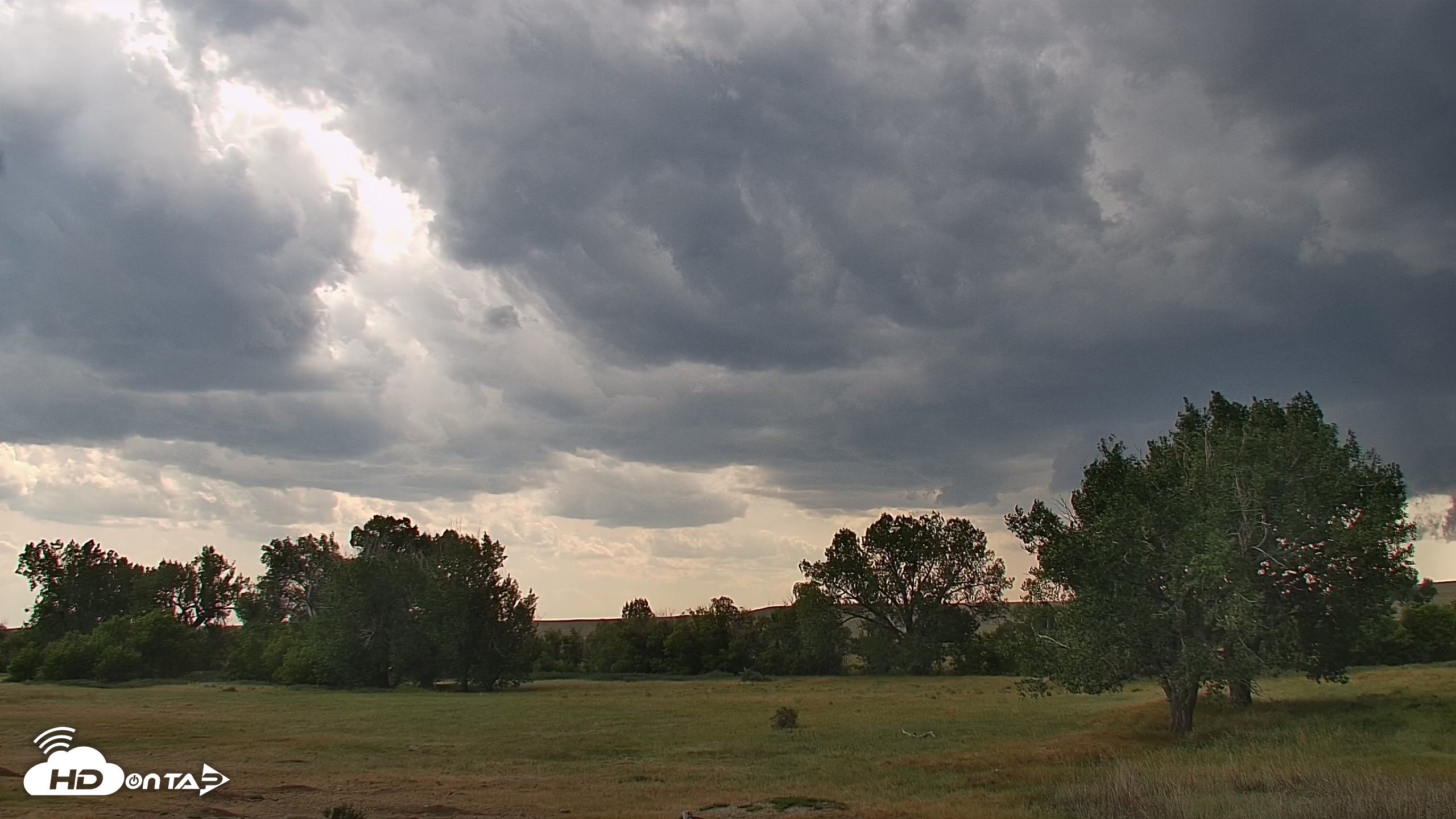 Snapshot of Montana Grasslands Bison Live Webcam taken Aug 17, 2026, 3:43pm MDT