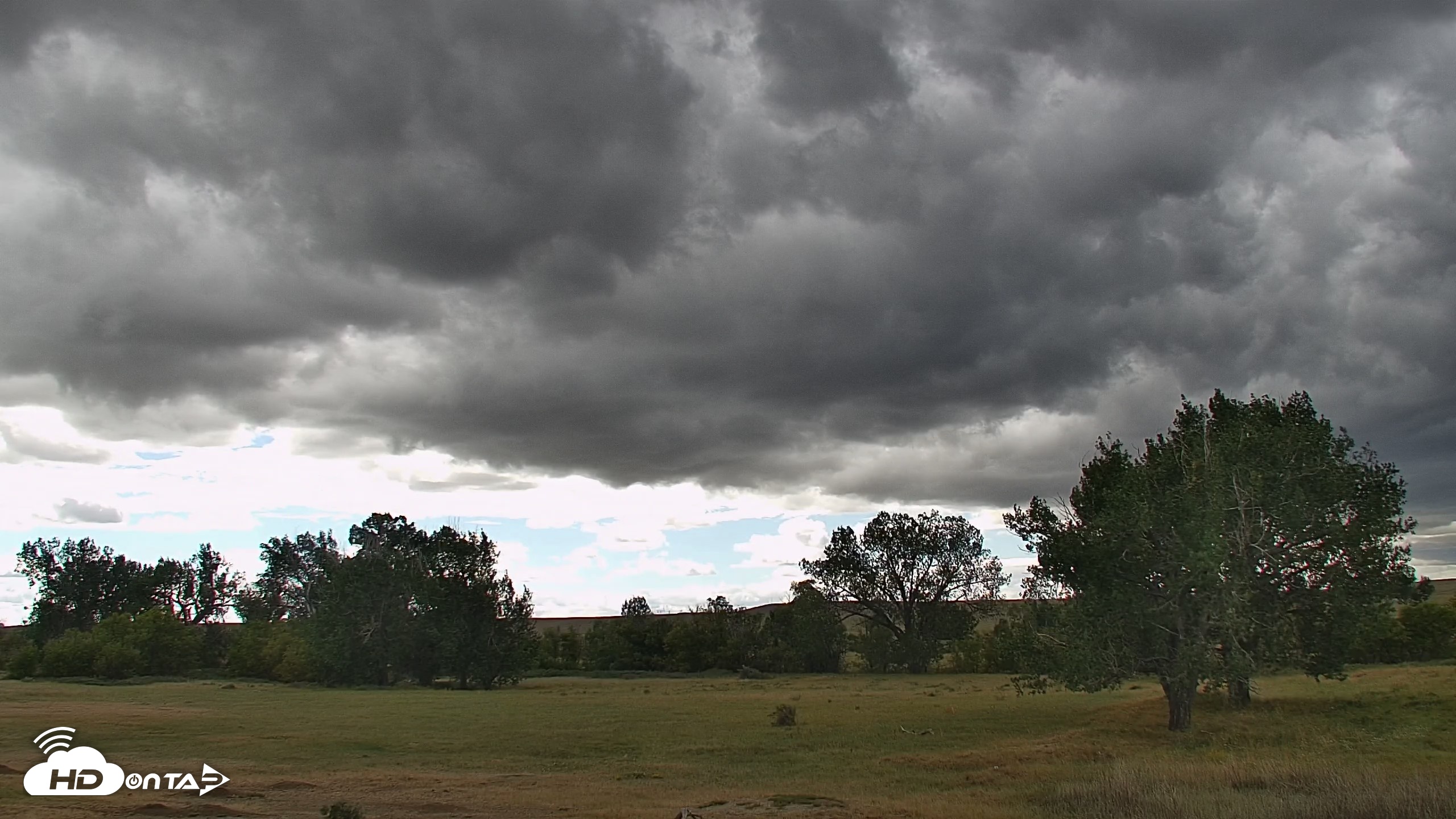 Snapshot of Montana Grasslands Bison Live Webcam taken Sep 8, 2026, 2:53pm MDT