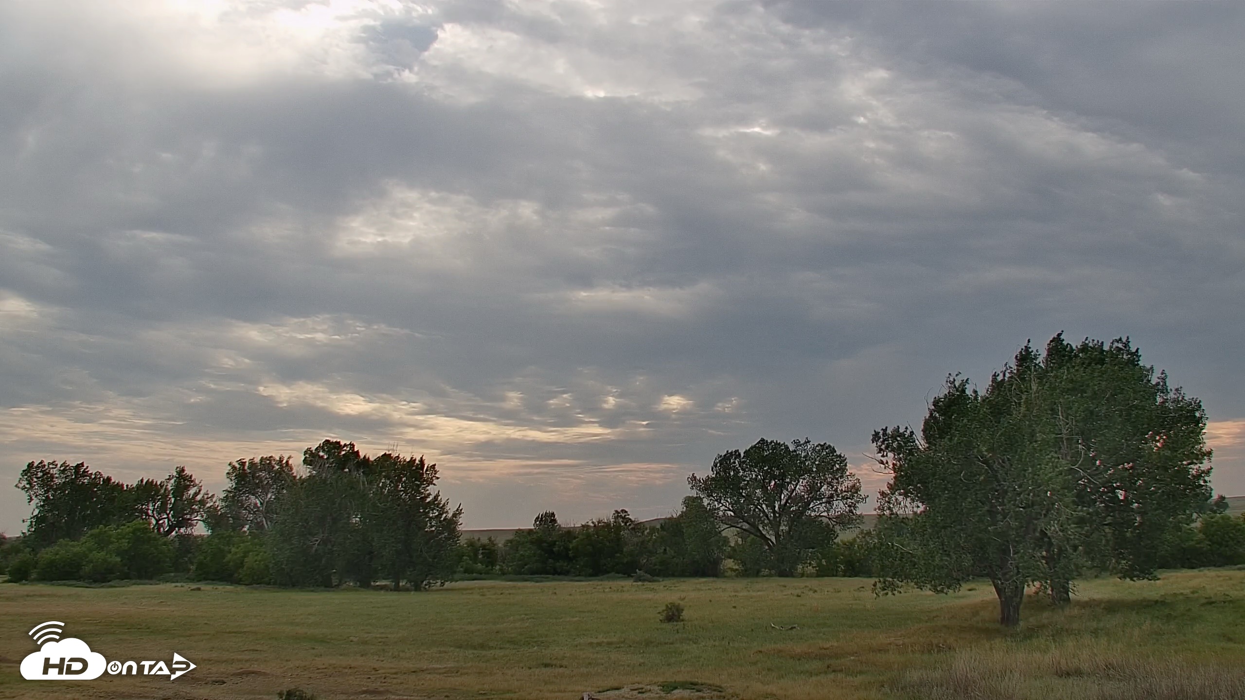 Snapshot of Montana Grasslands Bison Live Webcam taken Aug 22, 2026, 5:51pm MDT
