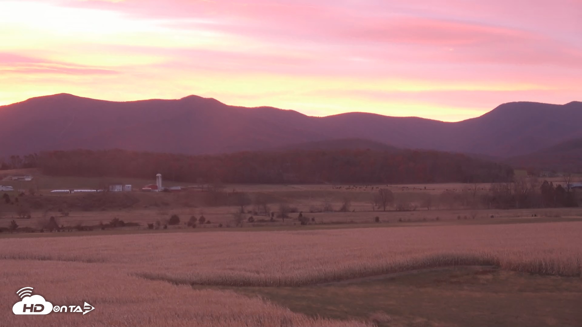 Snapshot of Shenandoah National Park Mountains Live Cam taken Nov 11, 2025, 6:52am EST