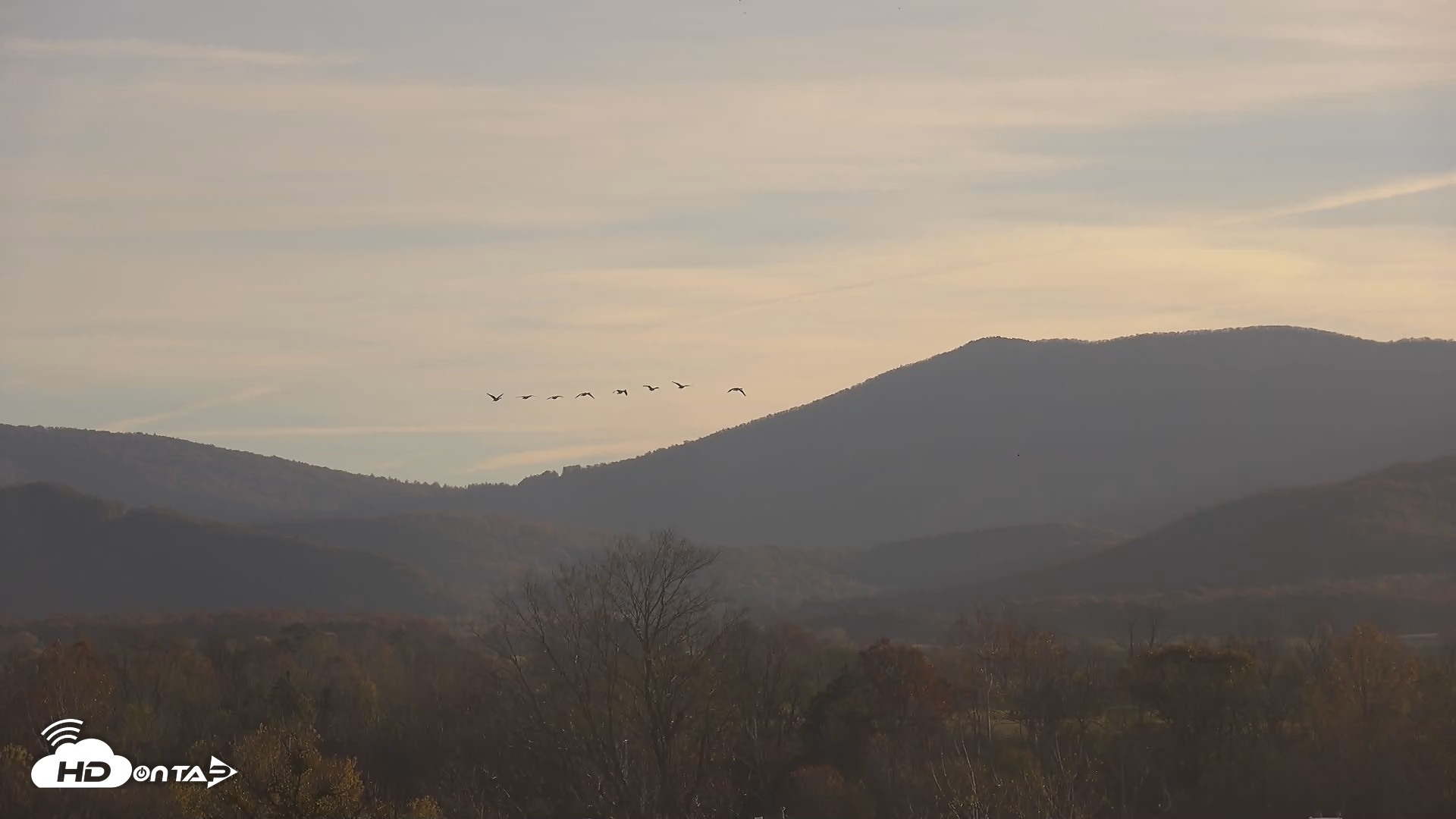 Snapshot of Shenandoah National Park Mountains Live Cam taken Nov 4, 2025, 7:41am EST