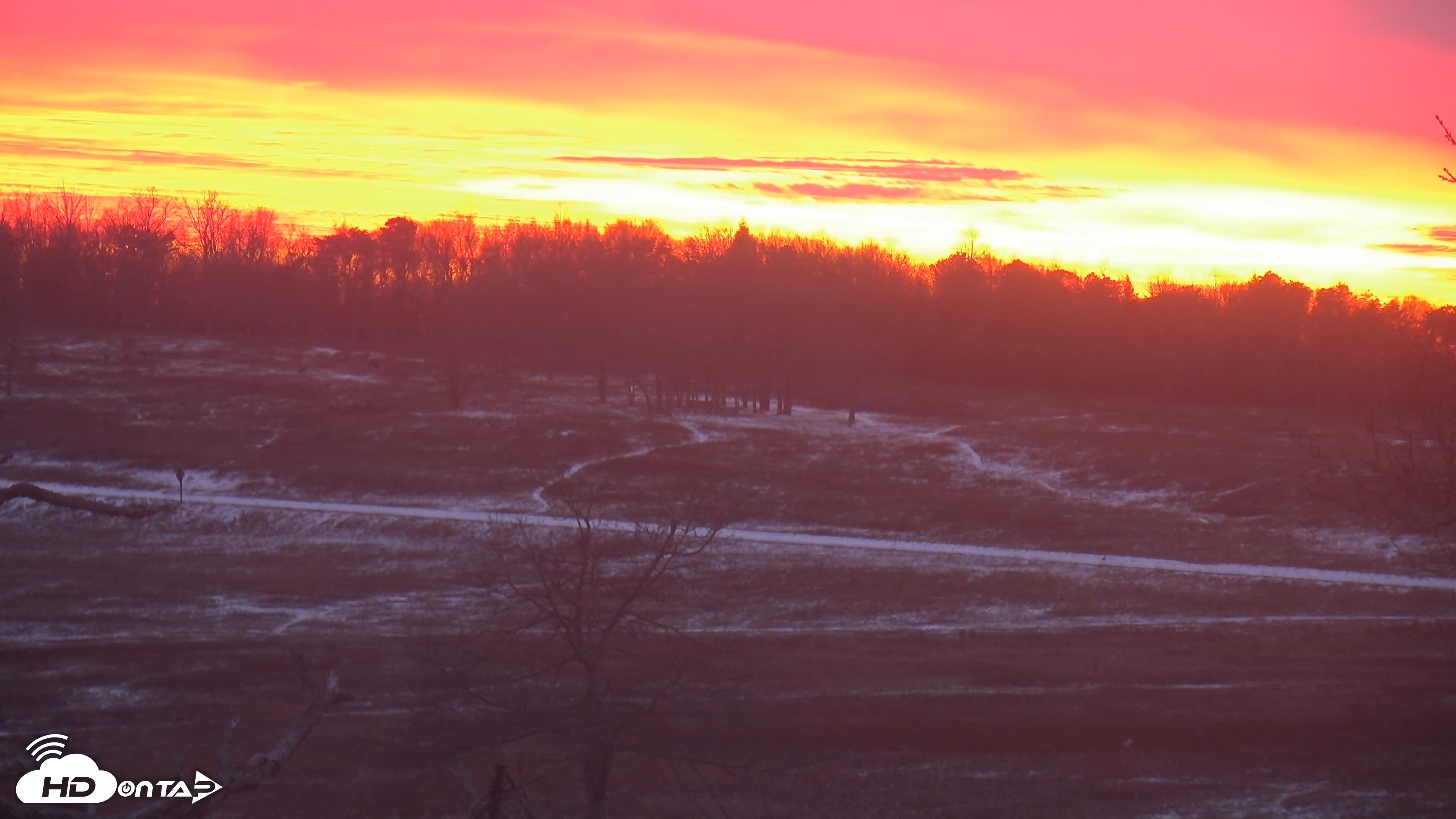 Snapshot of Shenandoah National Park Big Meadow Live Cam taken Dec 13, 2025, 5:10pm EST