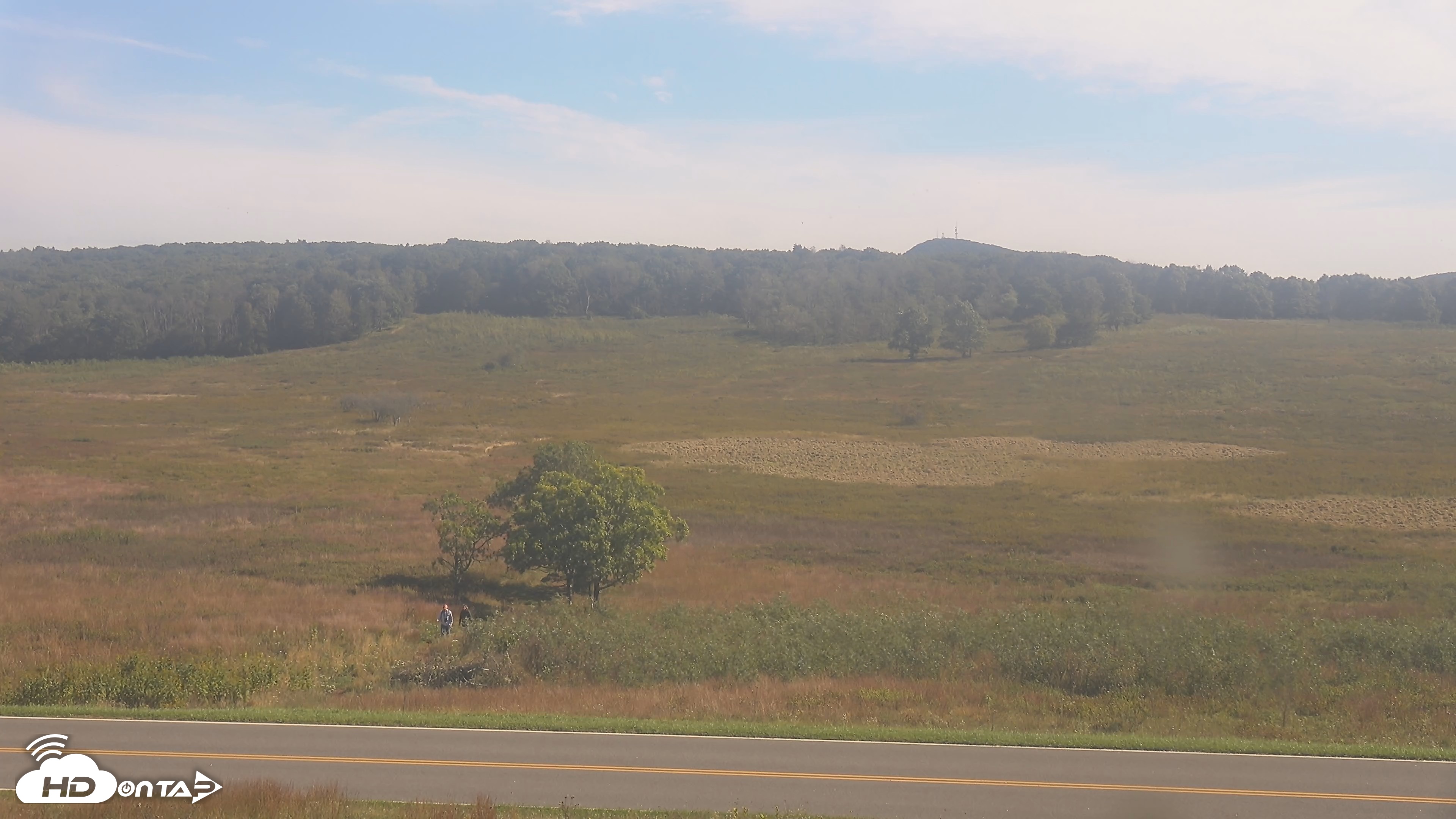 Snapshot of Shenandoah National Park Big Meadow Live Cam taken Sep 25, 2026, 3:36pm EDT
