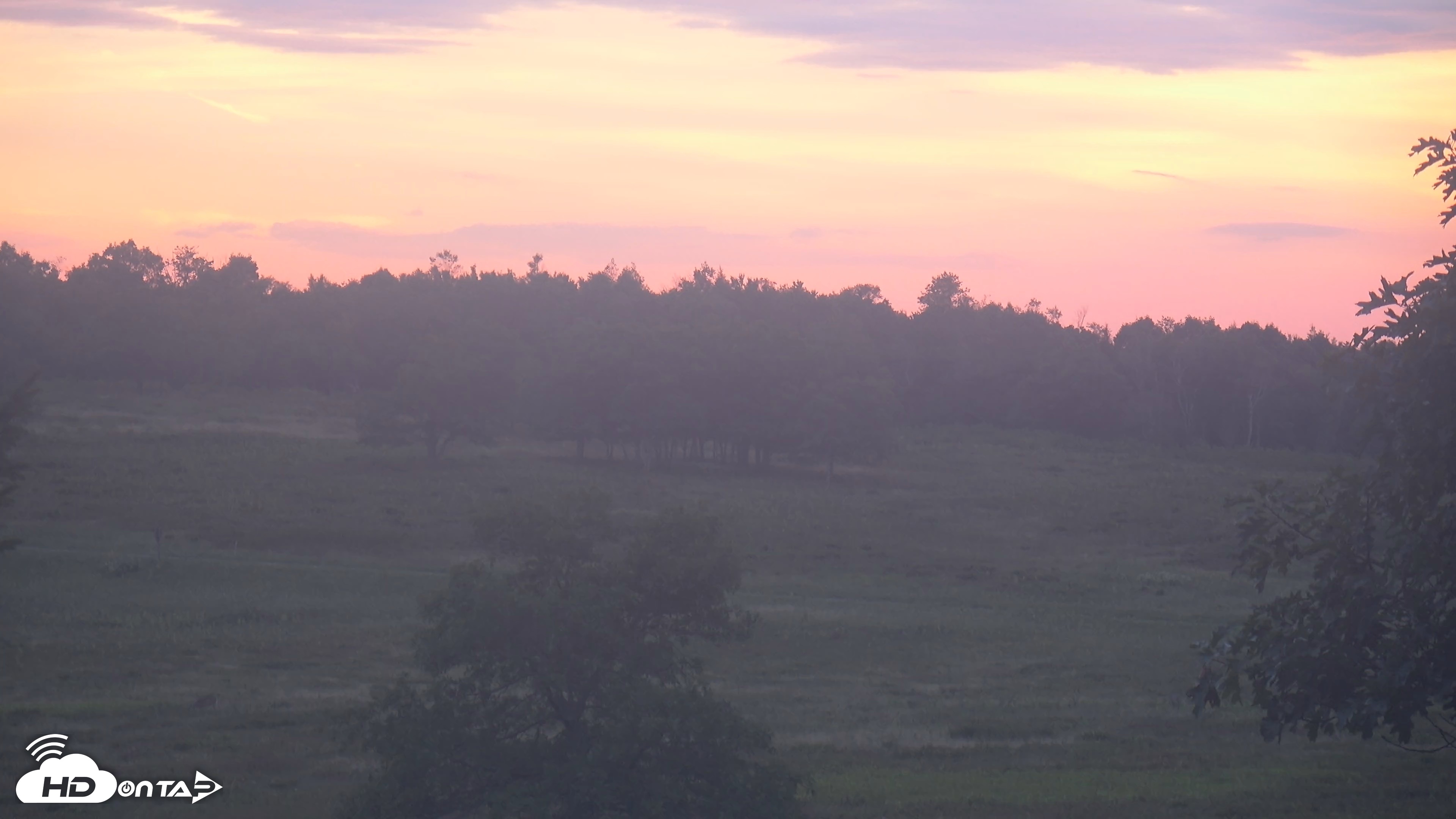Snapshot of Shenandoah National Park Big Meadow Live Cam taken Aug 31, 2026, 7:34pm EDT