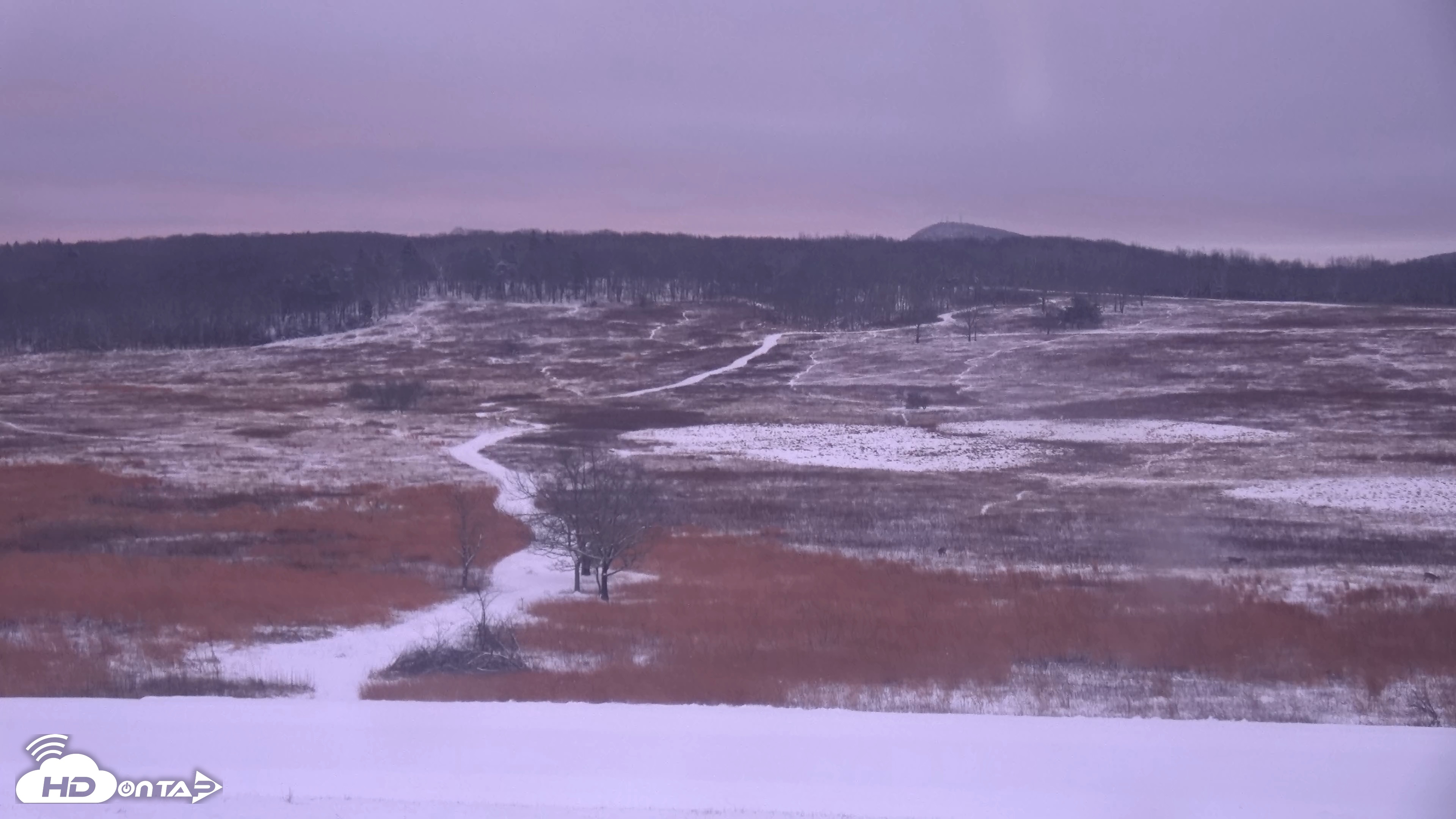 Snapshot of Shenandoah National Park Big Meadow Live Cam taken Dec 9, 2025, 7:07am EST