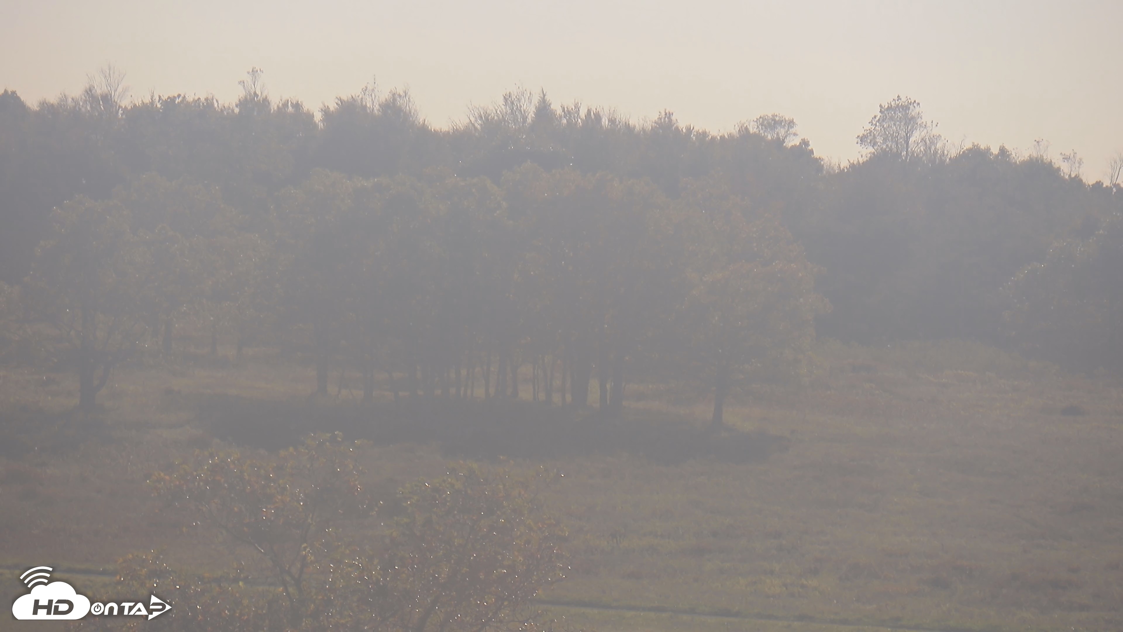 Snapshot of Shenandoah National Park Big Meadow Live Cam taken Oct 8, 2026, 4:26pm EDT