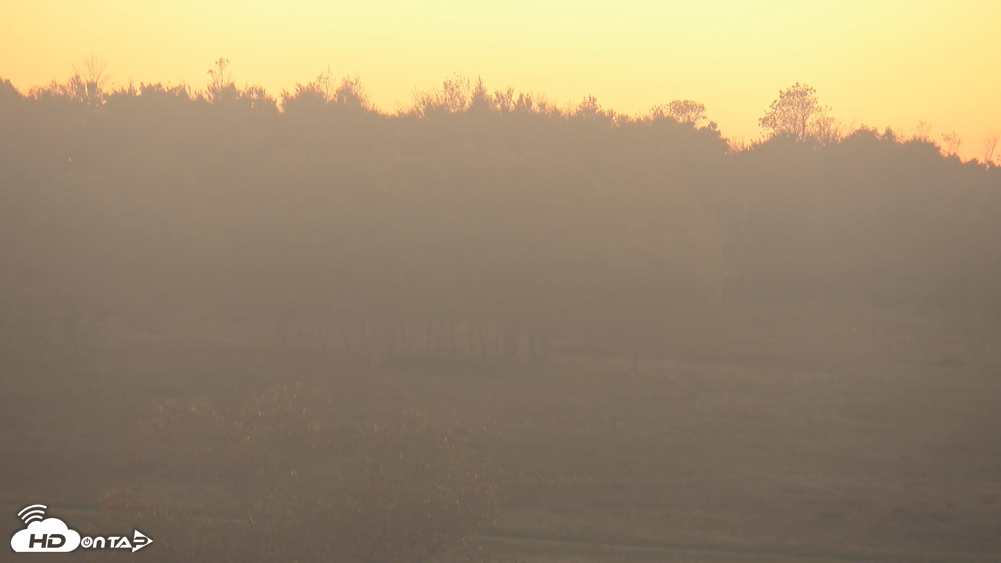 Snapshot of Shenandoah National Park Big Meadow Live Cam taken Oct 6, 2026, 6:58pm EDT