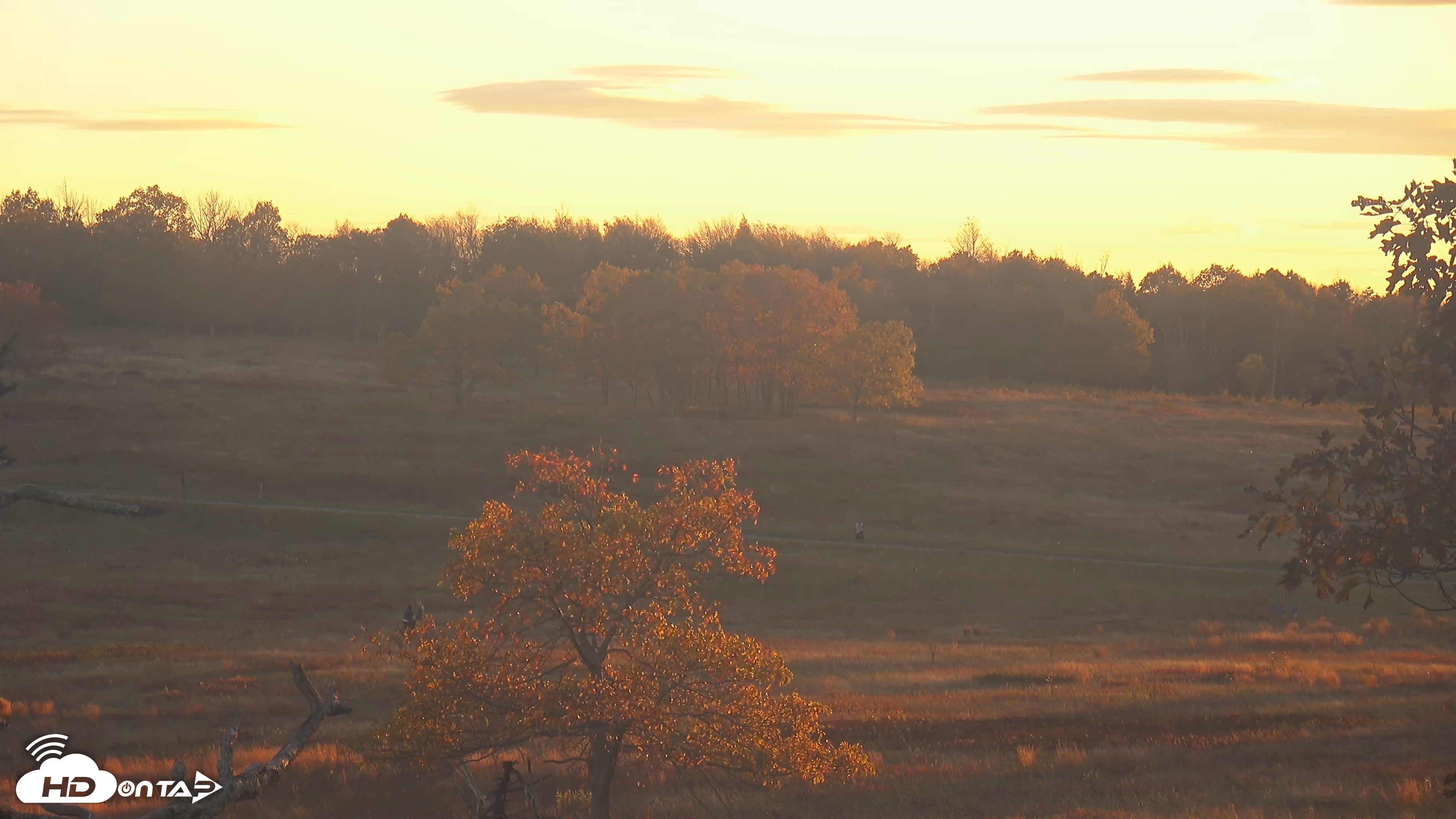 Snapshot of Shenandoah National Park Big Meadow Live Cam taken Oct 15, 2025, 6:26pm EDT