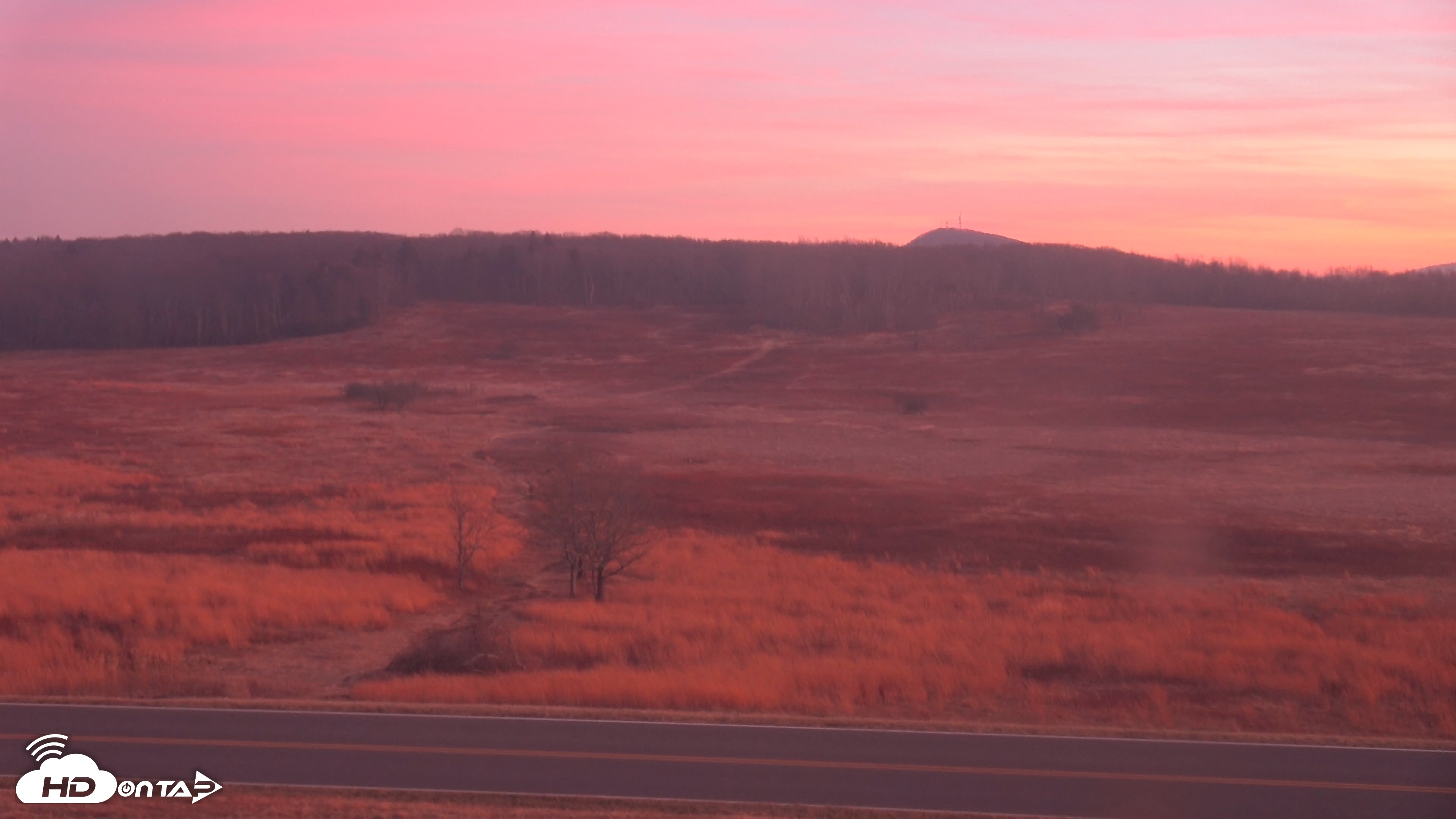 Snapshot of Shenandoah National Park Big Meadow Live Cam taken Dec 27, 2025, 5:15pm EST