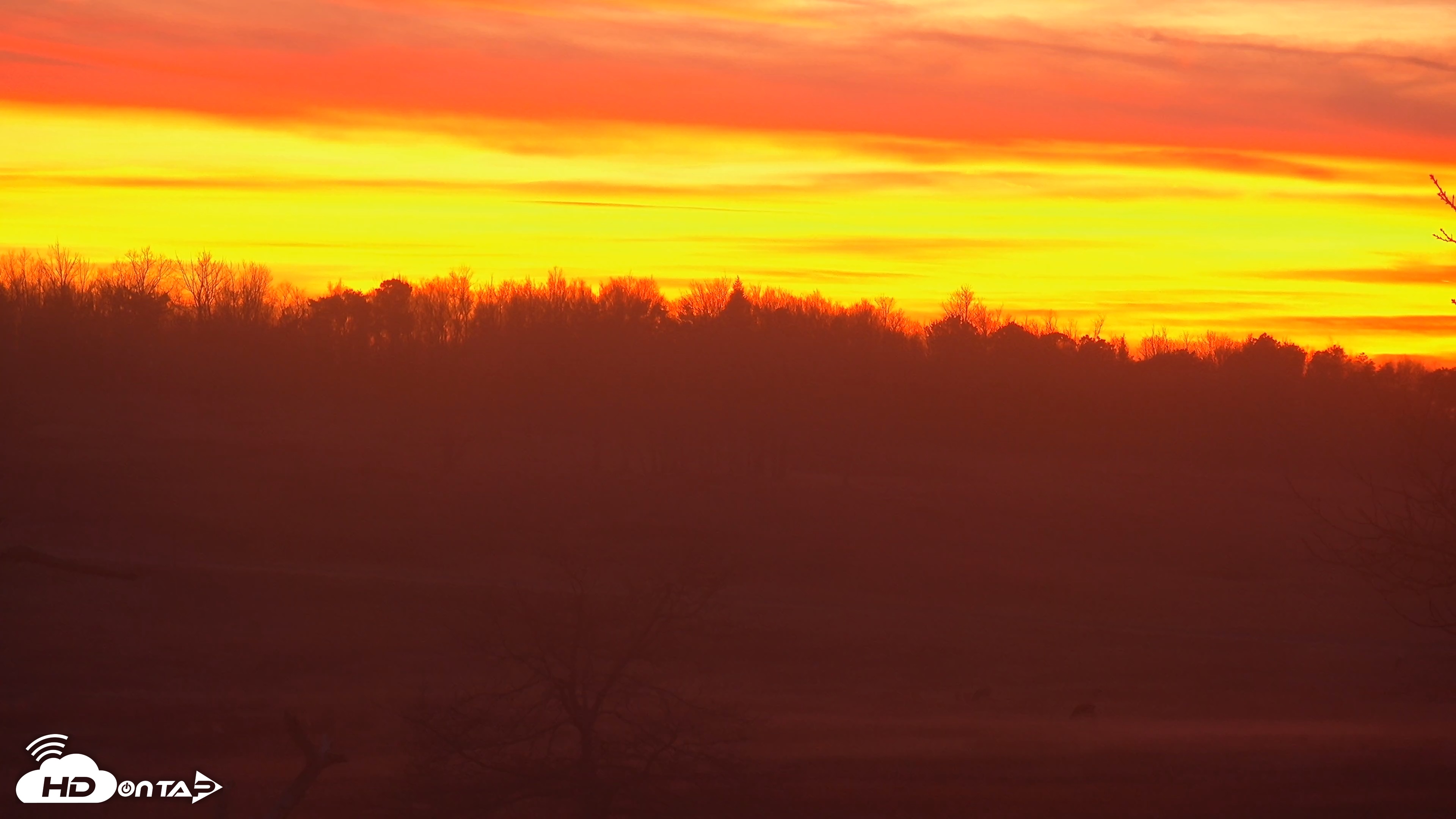 Snapshot of Shenandoah National Park Big Meadow Live Cam taken Dec 27, 2025, 5:20pm EST