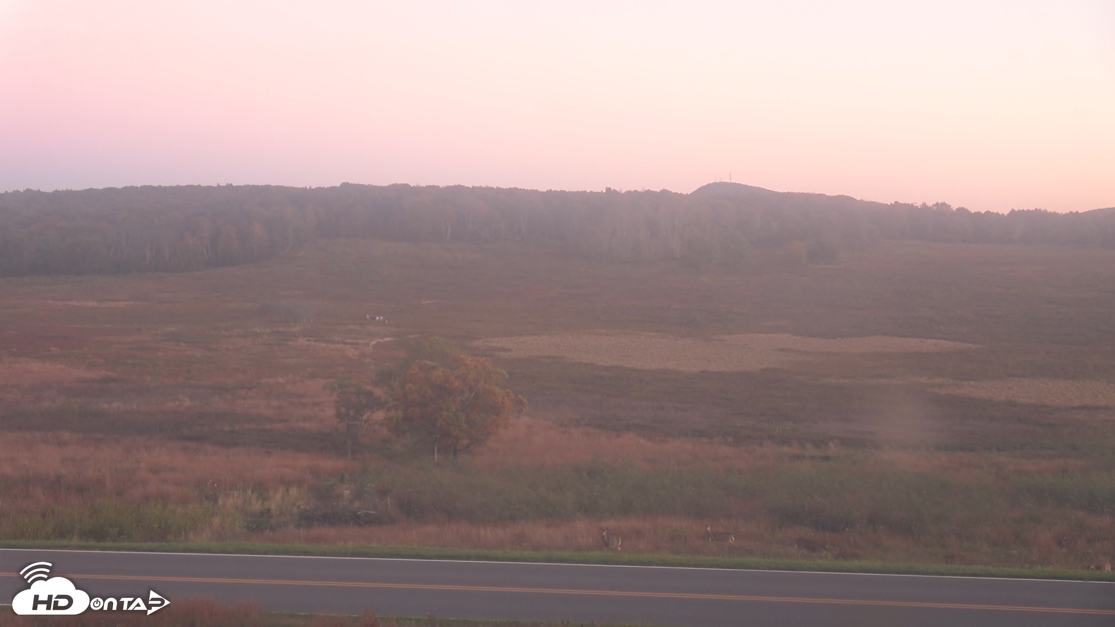 Snapshot of Shenandoah National Park Big Meadow Live Cam taken Oct 6, 2026, 6:57pm EDT