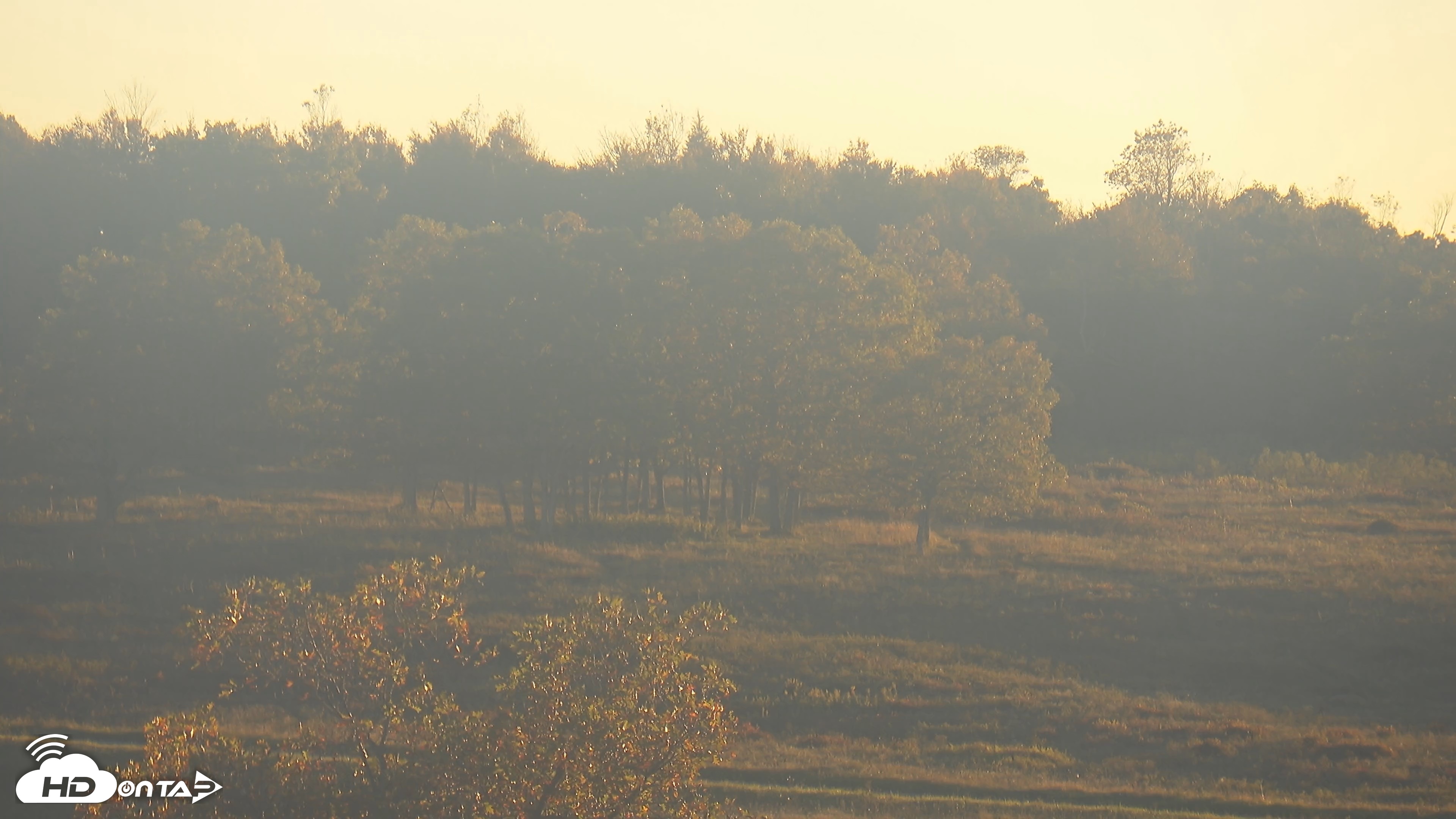Snapshot of Shenandoah National Park Big Meadow Live Cam taken Oct 6, 2026, 6:58pm EDT