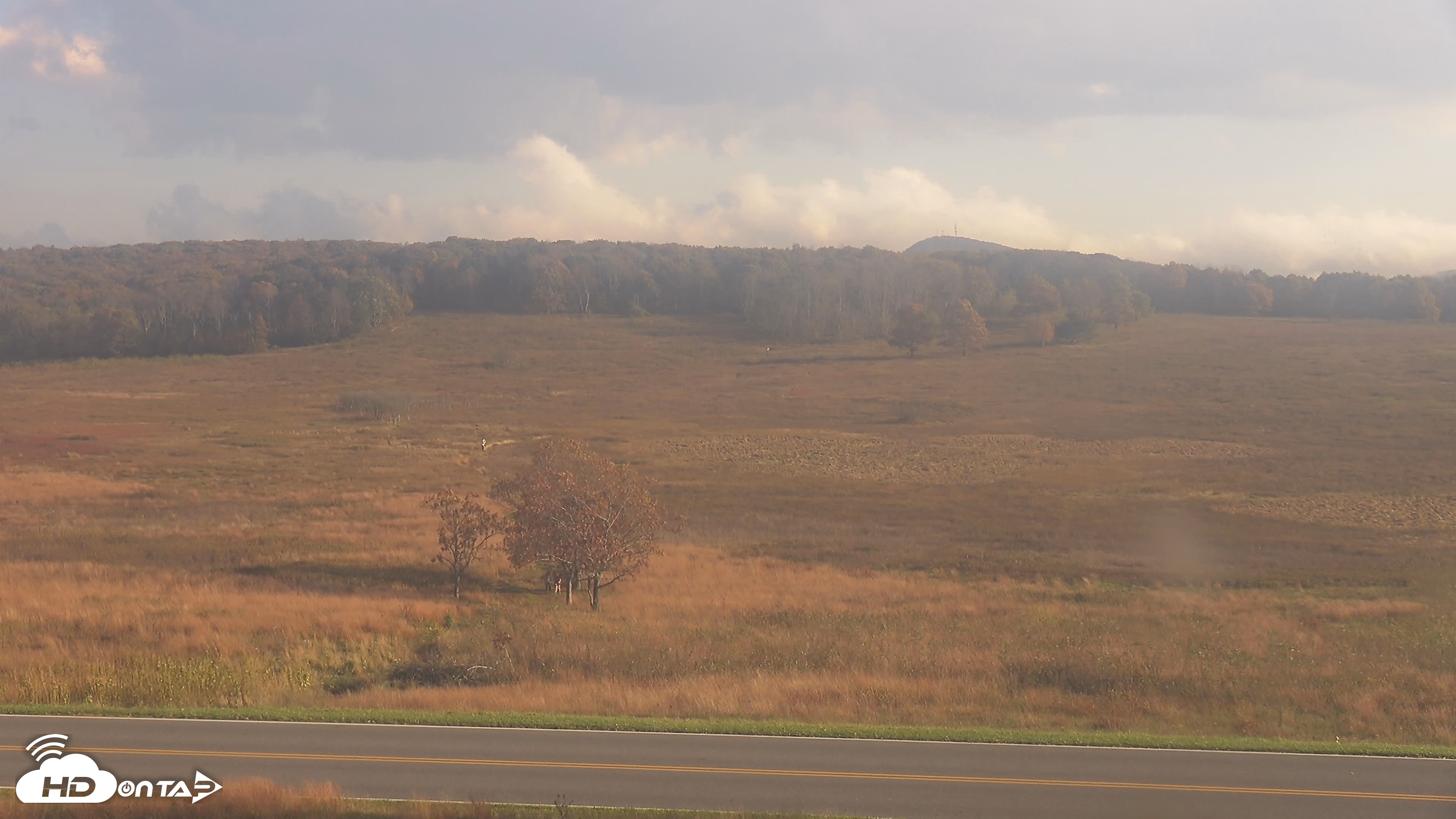 Snapshot of Shenandoah National Park Big Meadow Live Cam taken Oct 16, 2026, 4:50pm EDT