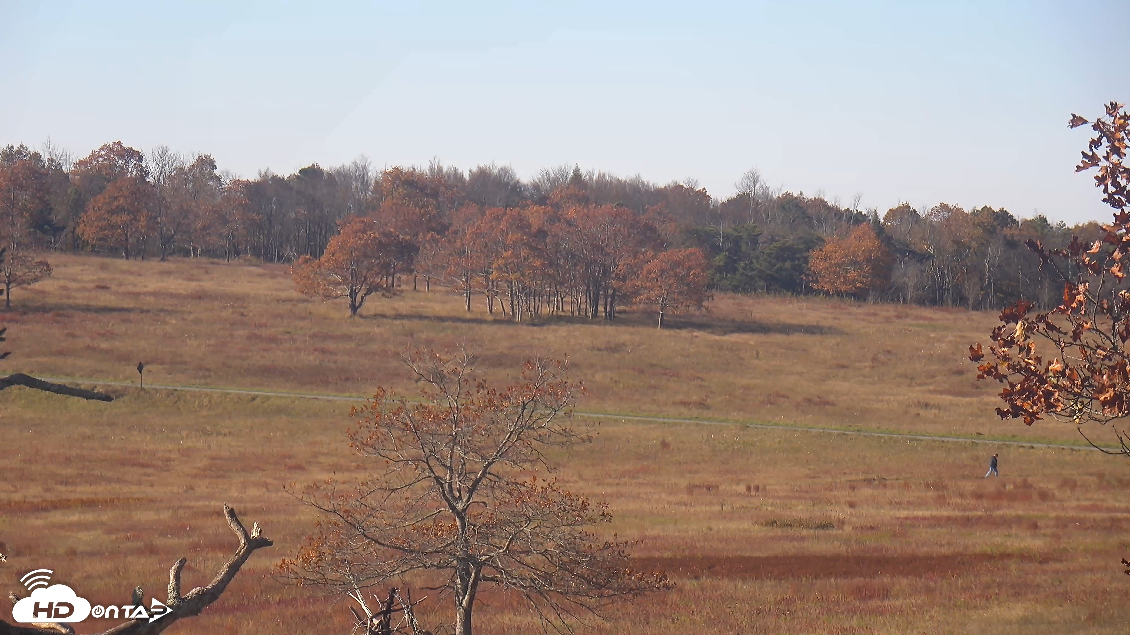 Snapshot of Shenandoah National Park Big Meadow Live Cam taken Oct 21, 2025, 10:17am EDT