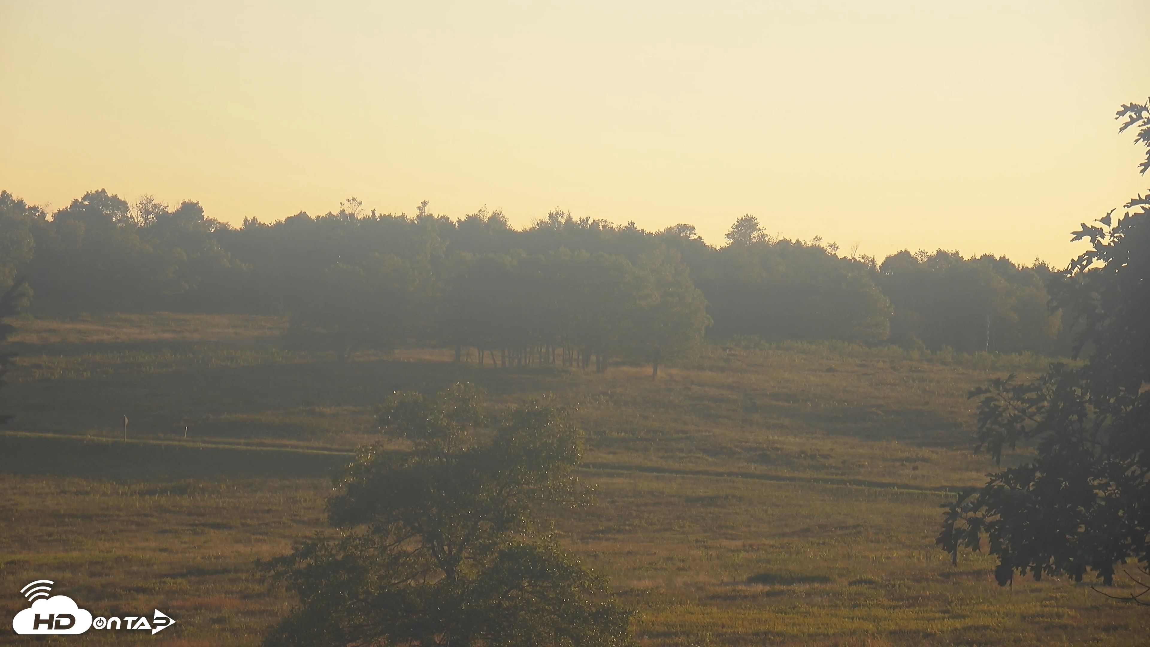 Snapshot of Shenandoah National Park Big Meadow Live Cam taken Sep 16, 2026, 7:09pm EDT