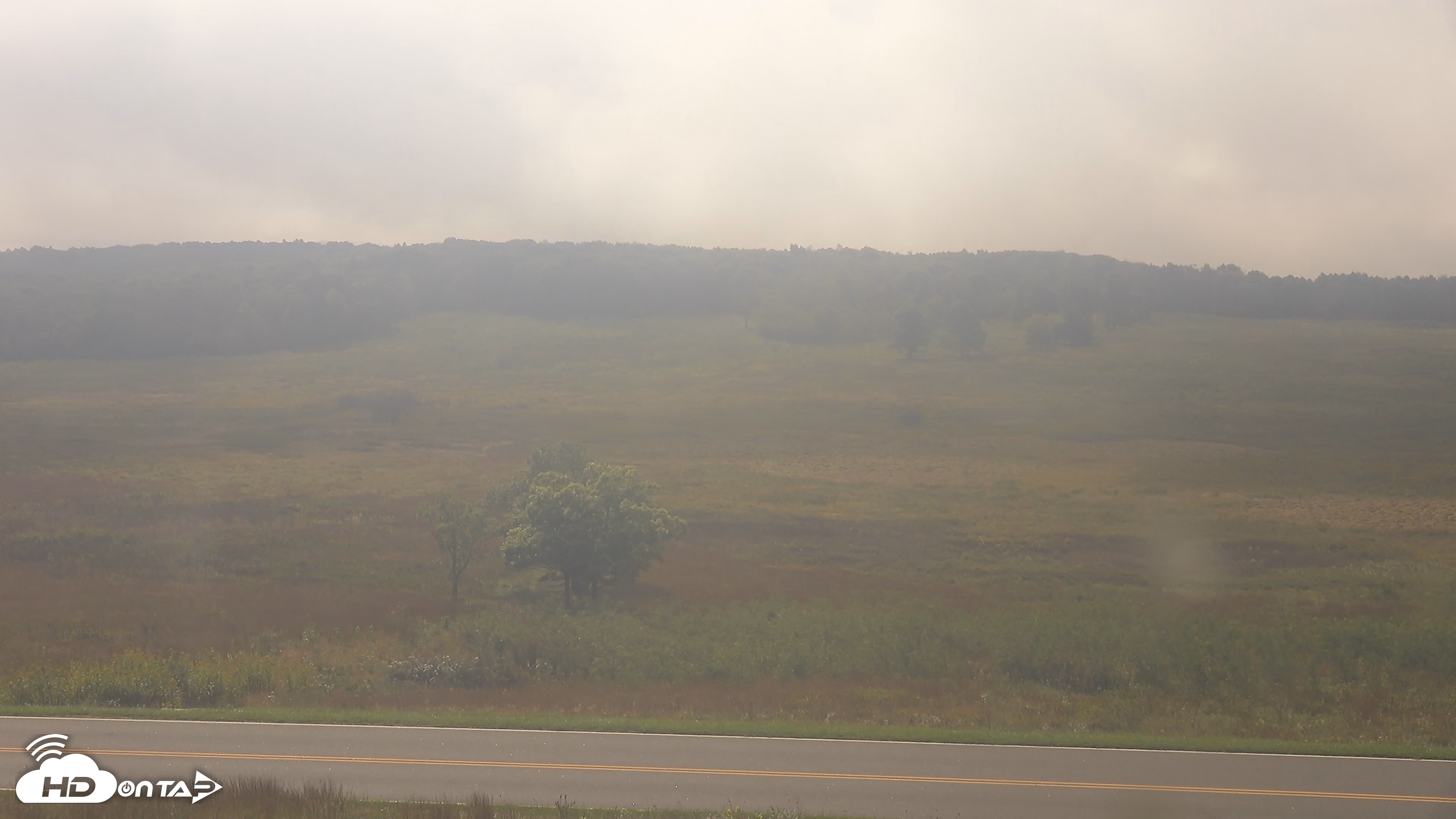 Snapshot of Shenandoah National Park Big Meadow Live Cam taken Sep 20, 2026, 10:54am EDT