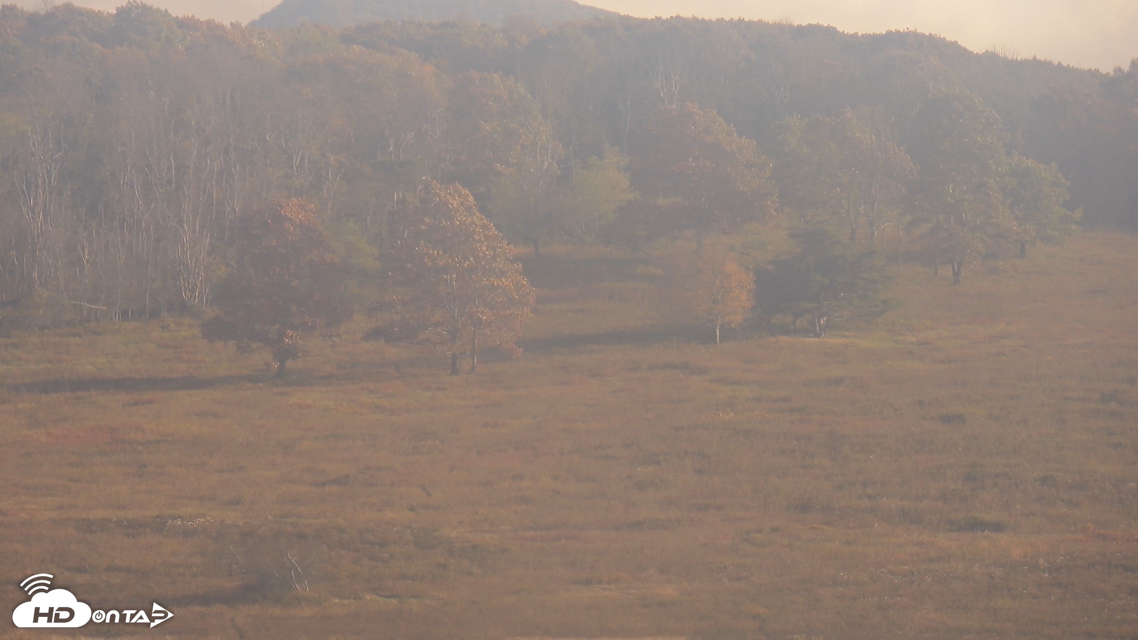 Snapshot of Shenandoah National Park Big Meadow Live Cam taken Oct 16, 2026, 4:49pm EDT