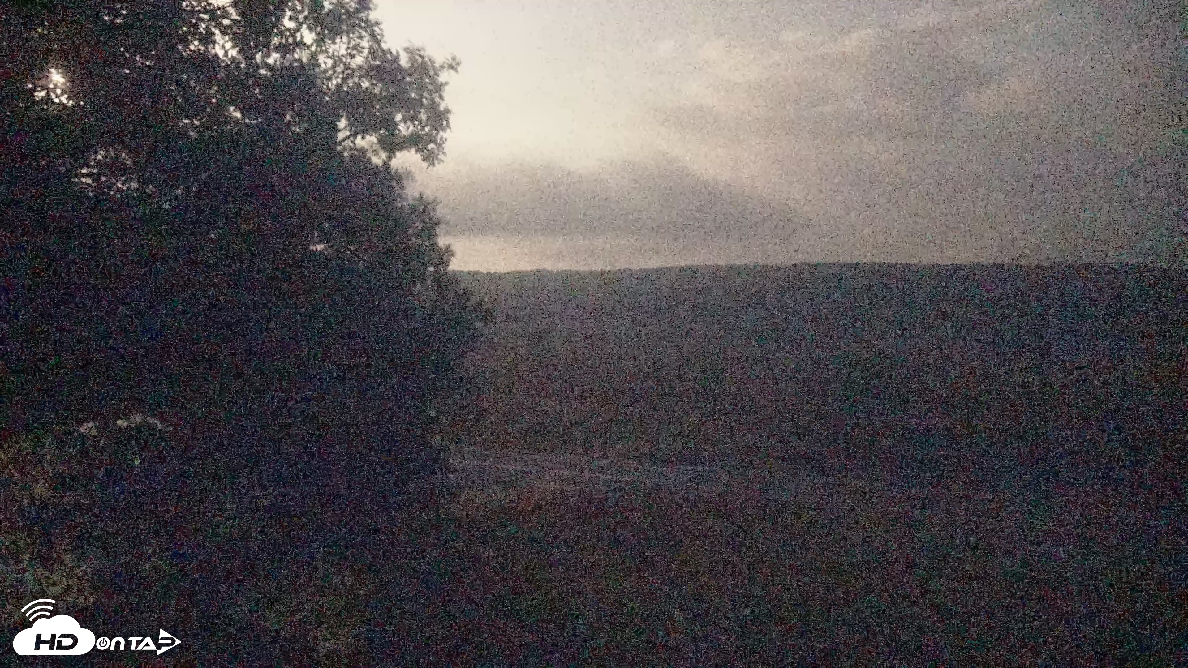 Snapshot of Shenandoah National Park Big Meadow Live Cam taken Aug 29, 2026, 9:31pm EDT