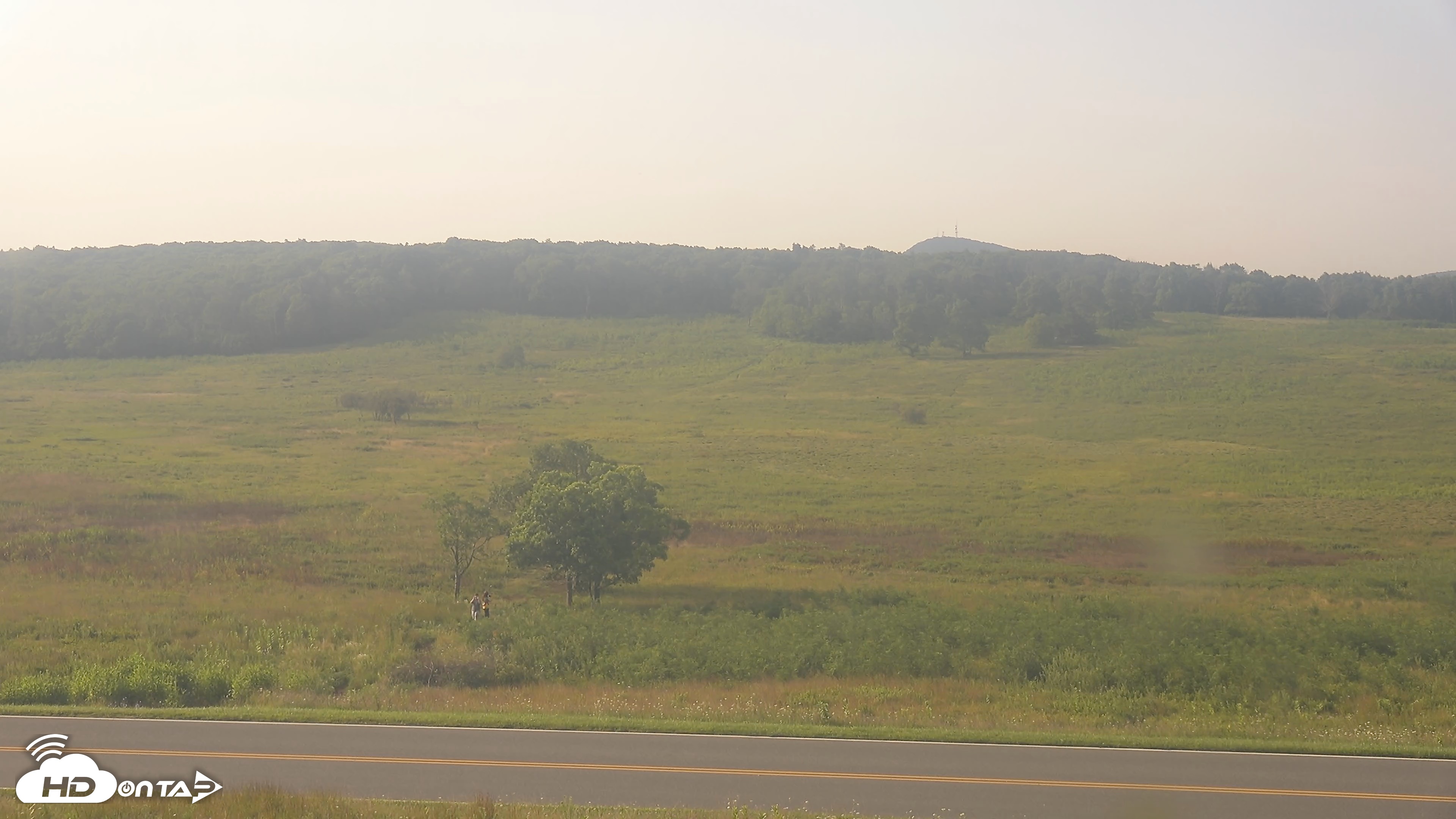 Snapshot of Shenandoah National Park Big Meadow Live Cam taken Aug 9, 2026, 8:13am EDT