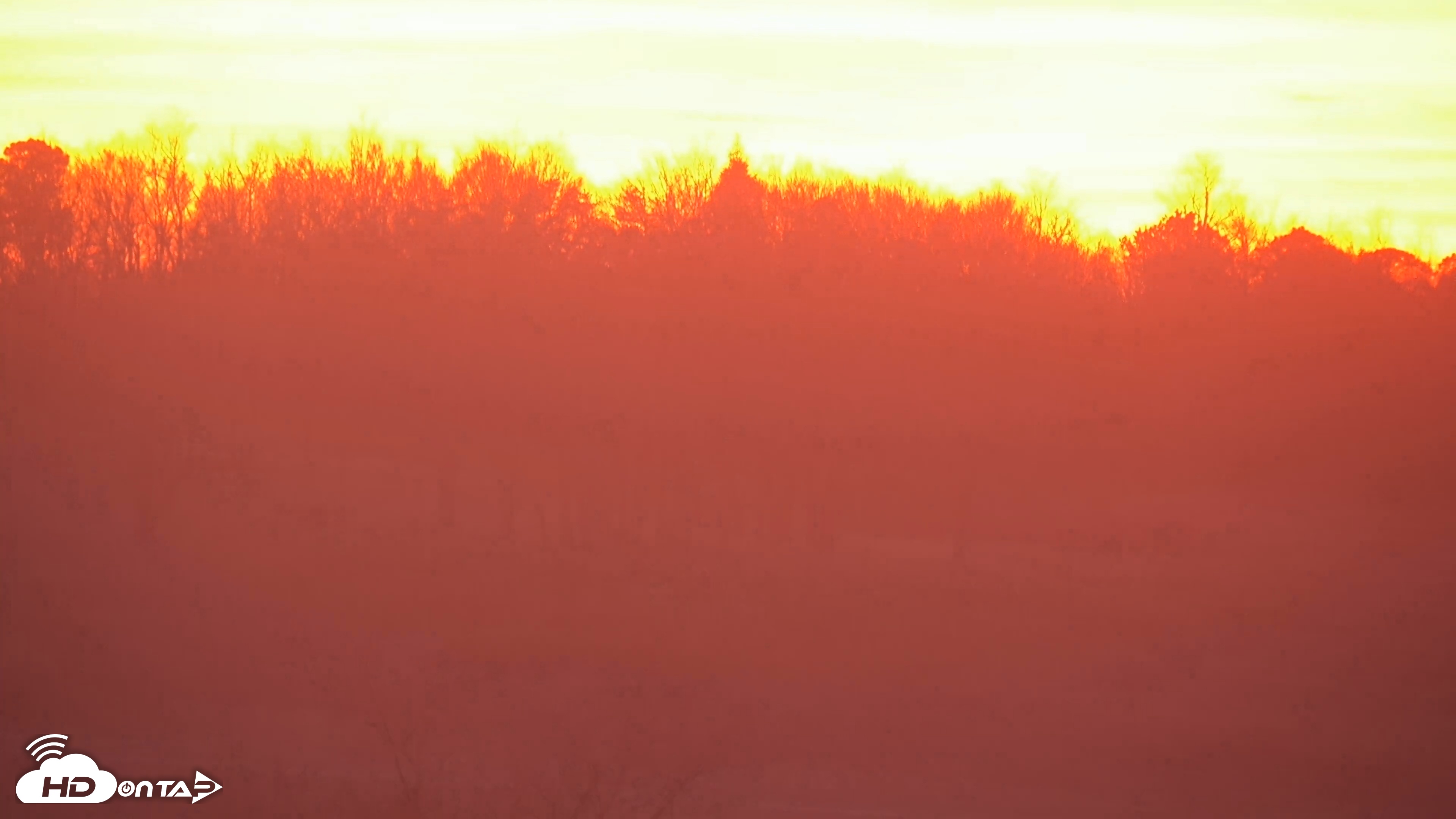 Snapshot of Shenandoah National Park Big Meadow Live Cam taken Dec 27, 2025, 5:22pm EST